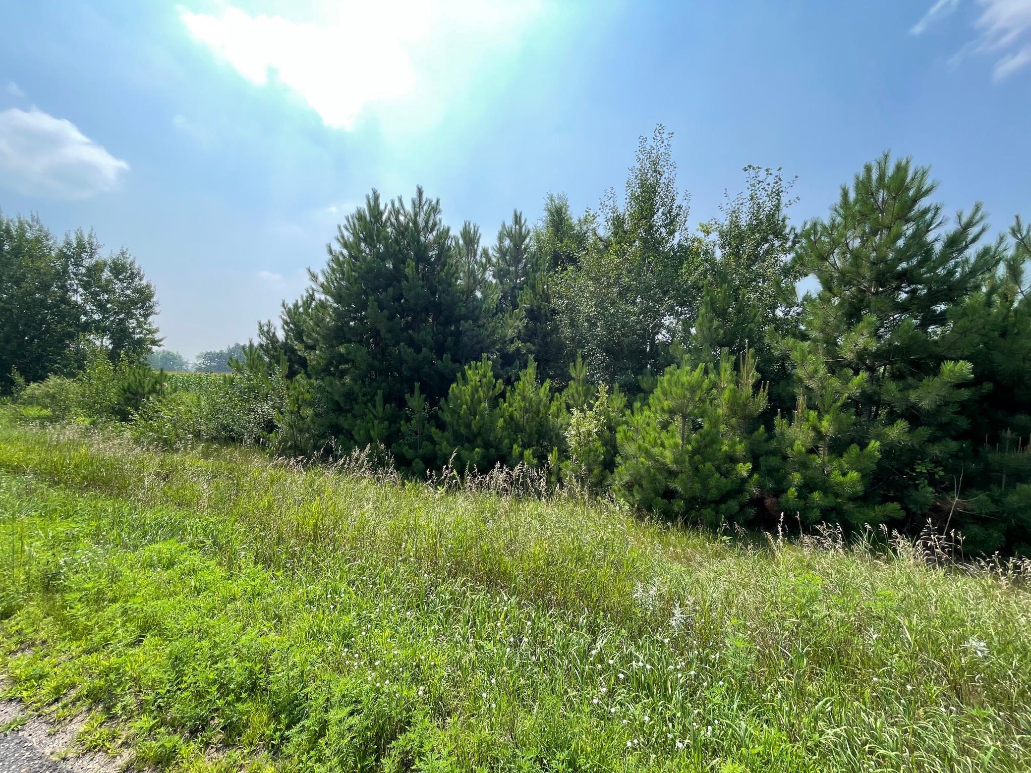 View of Land at XXX 17th Street, Princeton MN 55371, Princeton (10 of 10) - Mike Wilen | Minnesota Team Real Estate