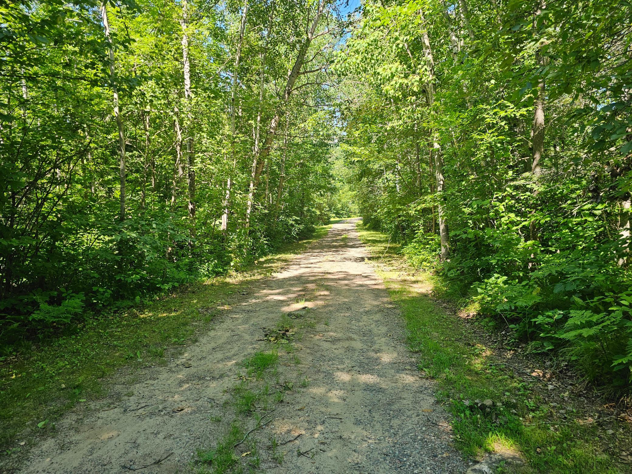 View of Residential at 40776 Mary Lake Road, Emily MN 56447, Emily (45 of 55) - Mike Wilen | Minnesota Team Real Estate