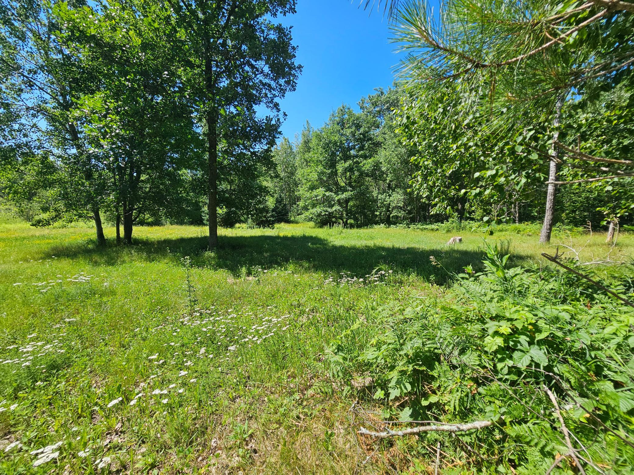 View of Residential at 40776 Mary Lake Road, Emily MN 56447, Emily (52 of 55) - Mike Wilen | Minnesota Team Real Estate