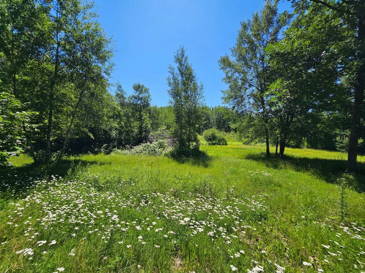 View of Residential at 40776 Mary Lake Road, Emily MN 56447, Emily (47 of 55) - Mike Wilen | Minnesota Team Real Estate