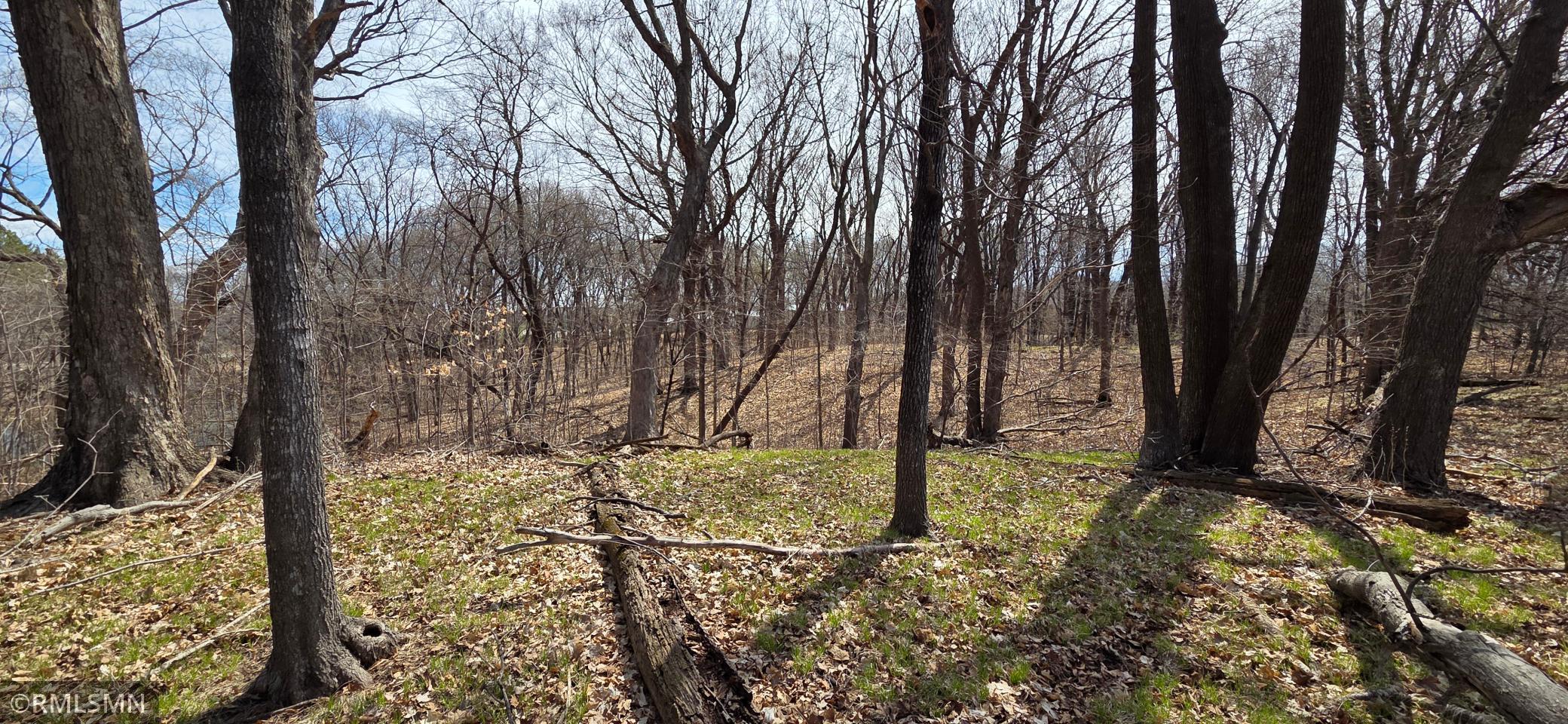 View of Land at N/A State Highway 55, Rockford MN 55373, Rockford (8 of 10) - Mike Wilen | Minnesota Team Real Estate