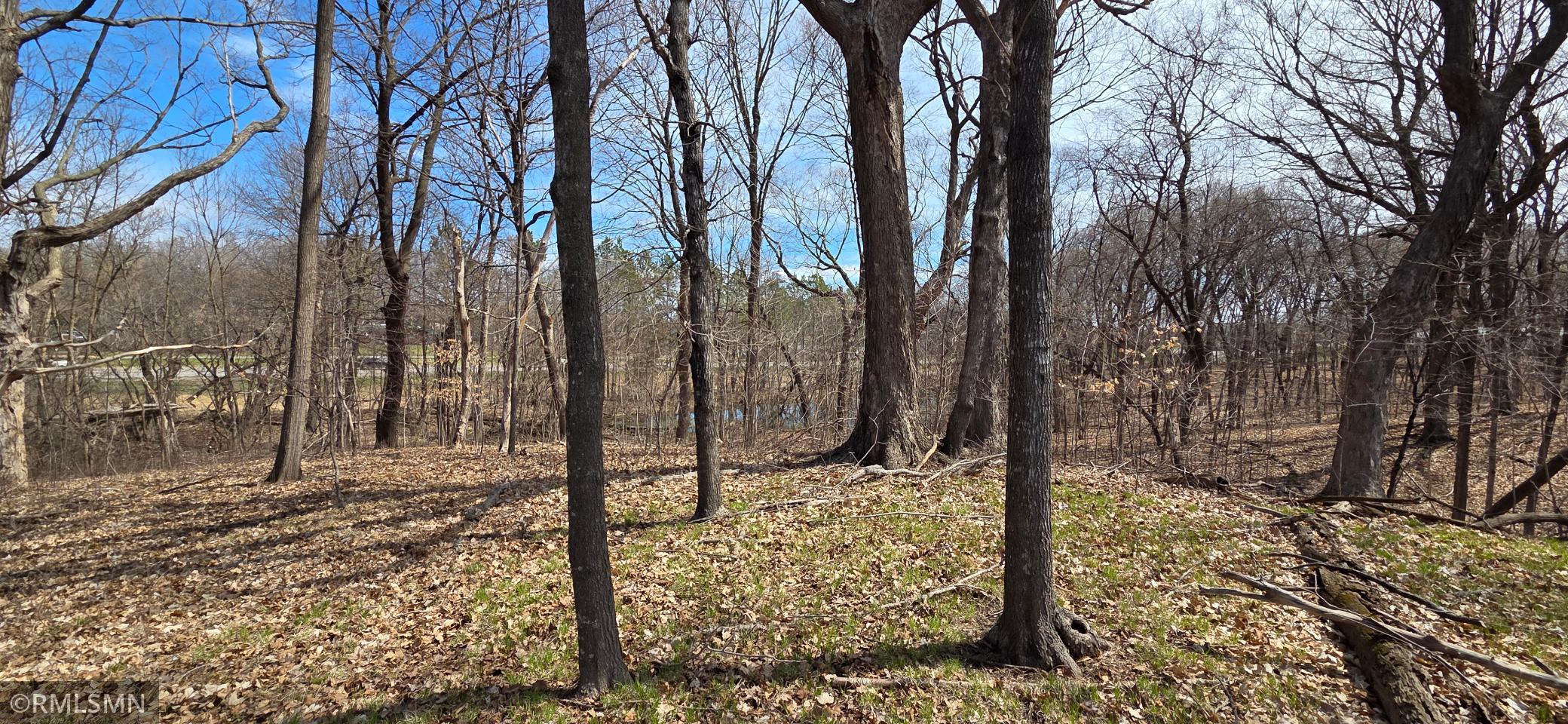 View of Land at N/A State Highway 55, Rockford MN 55373, Rockford (7 of 10) - Mike Wilen | Minnesota Team Real Estate