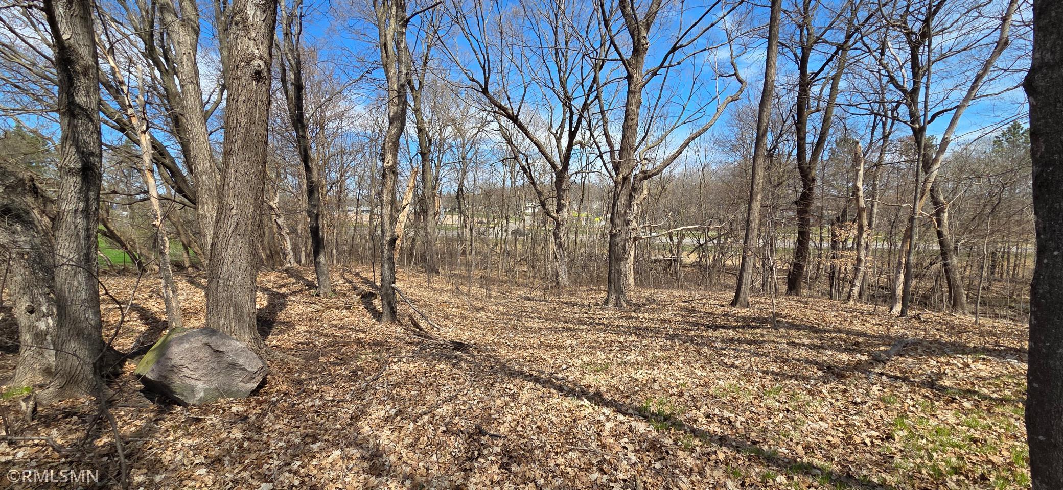 View of Land at N/A State Highway 55, Rockford MN 55373, Rockford (6 of 10) - Mike Wilen | Minnesota Team Real Estate