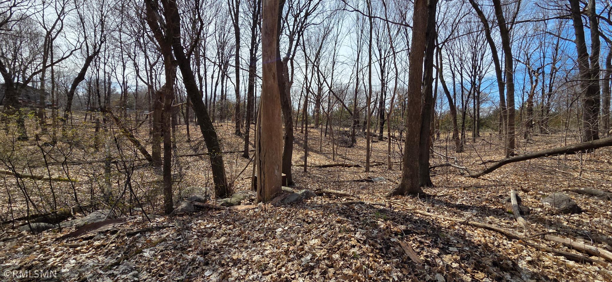 View of Land at N/A State Highway 55, Rockford MN 55373, Rockford (5 of 10) - Mike Wilen | Minnesota Team Real Estate