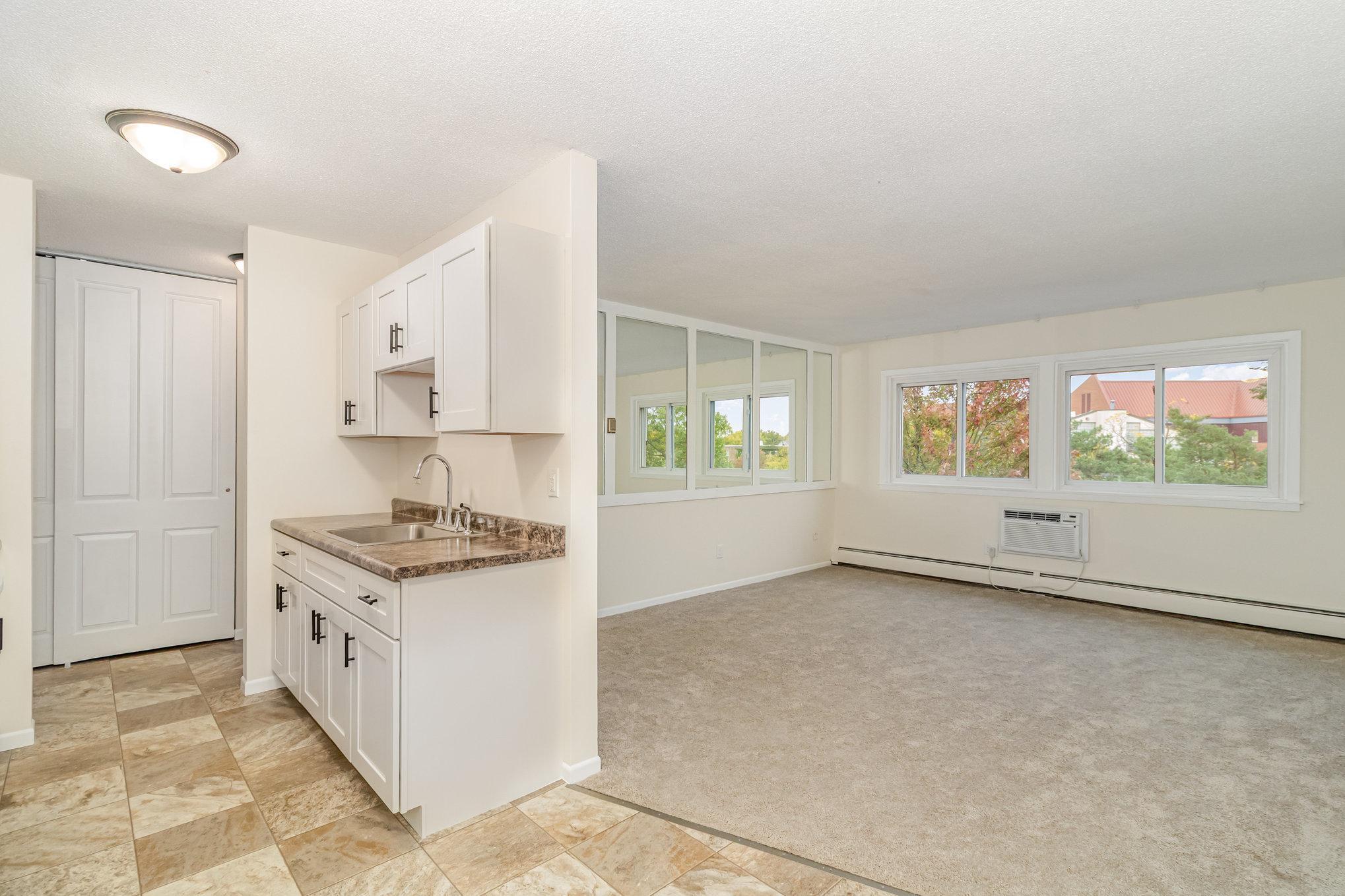 View of Residential at 2616 Harriet Avenue #303, Minneapolis MN 55408, Minneapolis (5 of 18) - Mike Wilen | Minnesota Team Real Estate