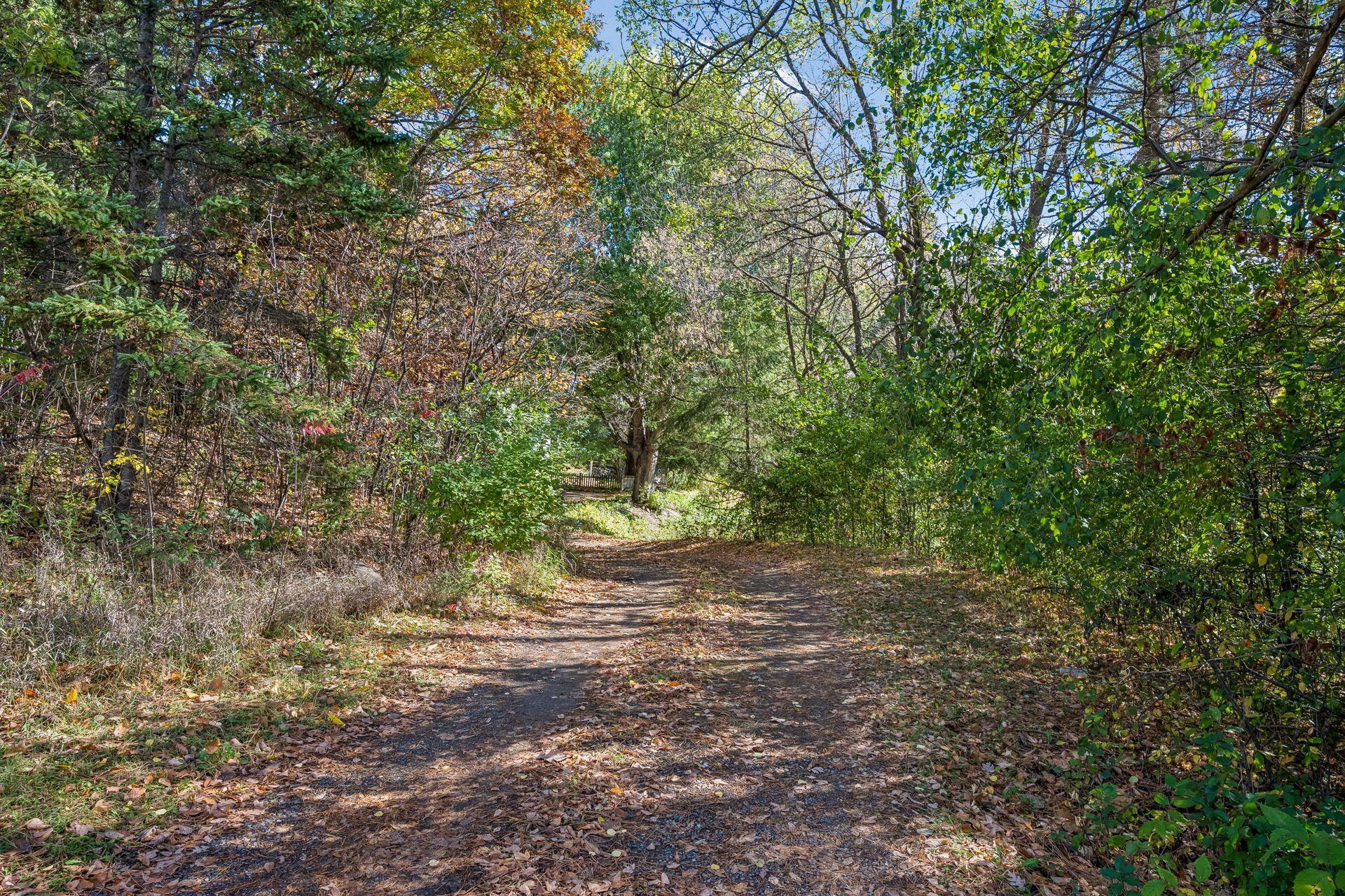 View of Residential at 20279 Wolverine Street, Nowthen MN 55330, Nowthen (34 of 50) - Mike Wilen | Minnesota Team Real Estate