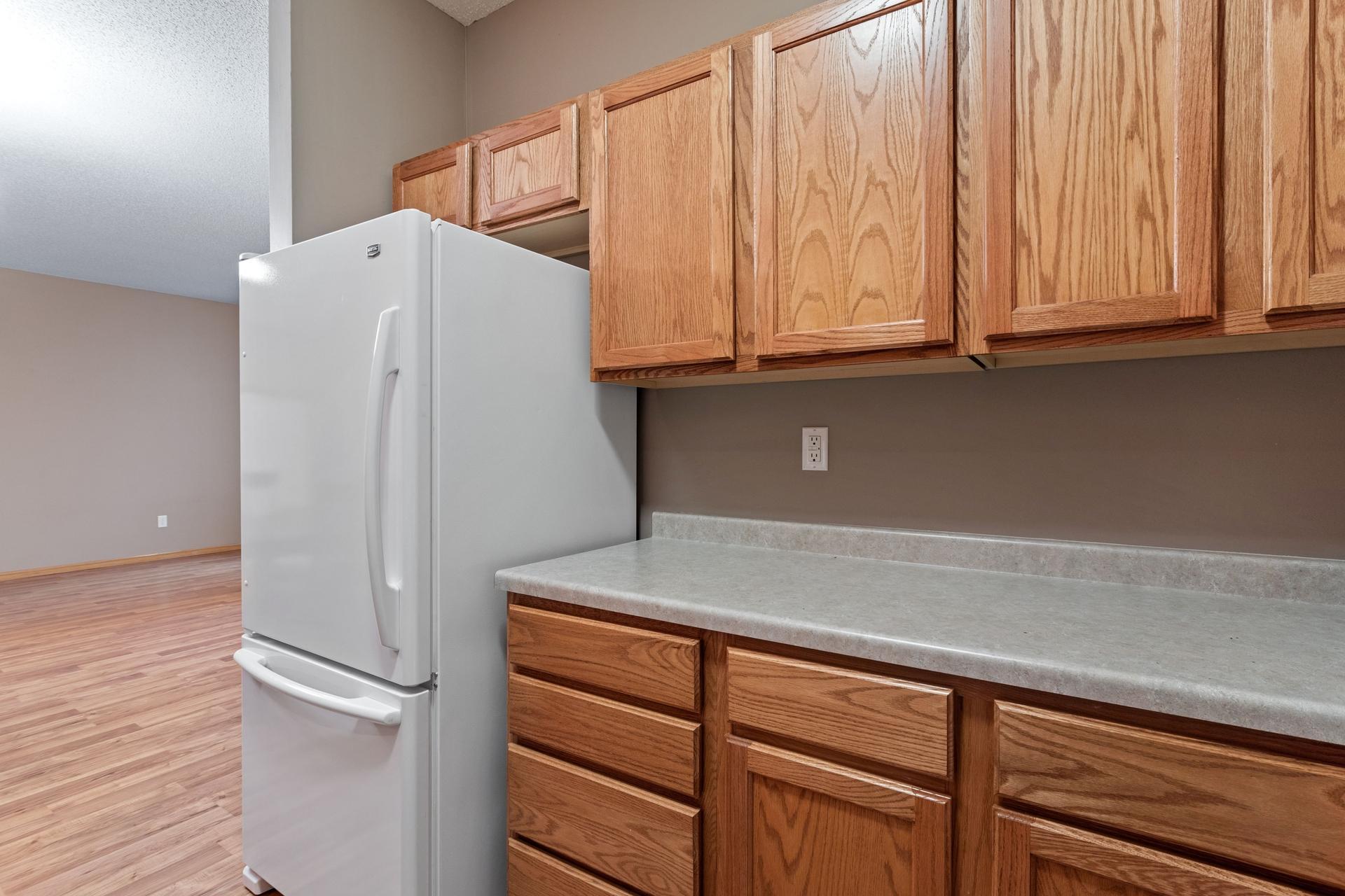 View of Residential at 1520 Praha Street, New Prague MN 56071, New Prague (16 of 21) - Mike Wilen | Minnesota Team Real Estate