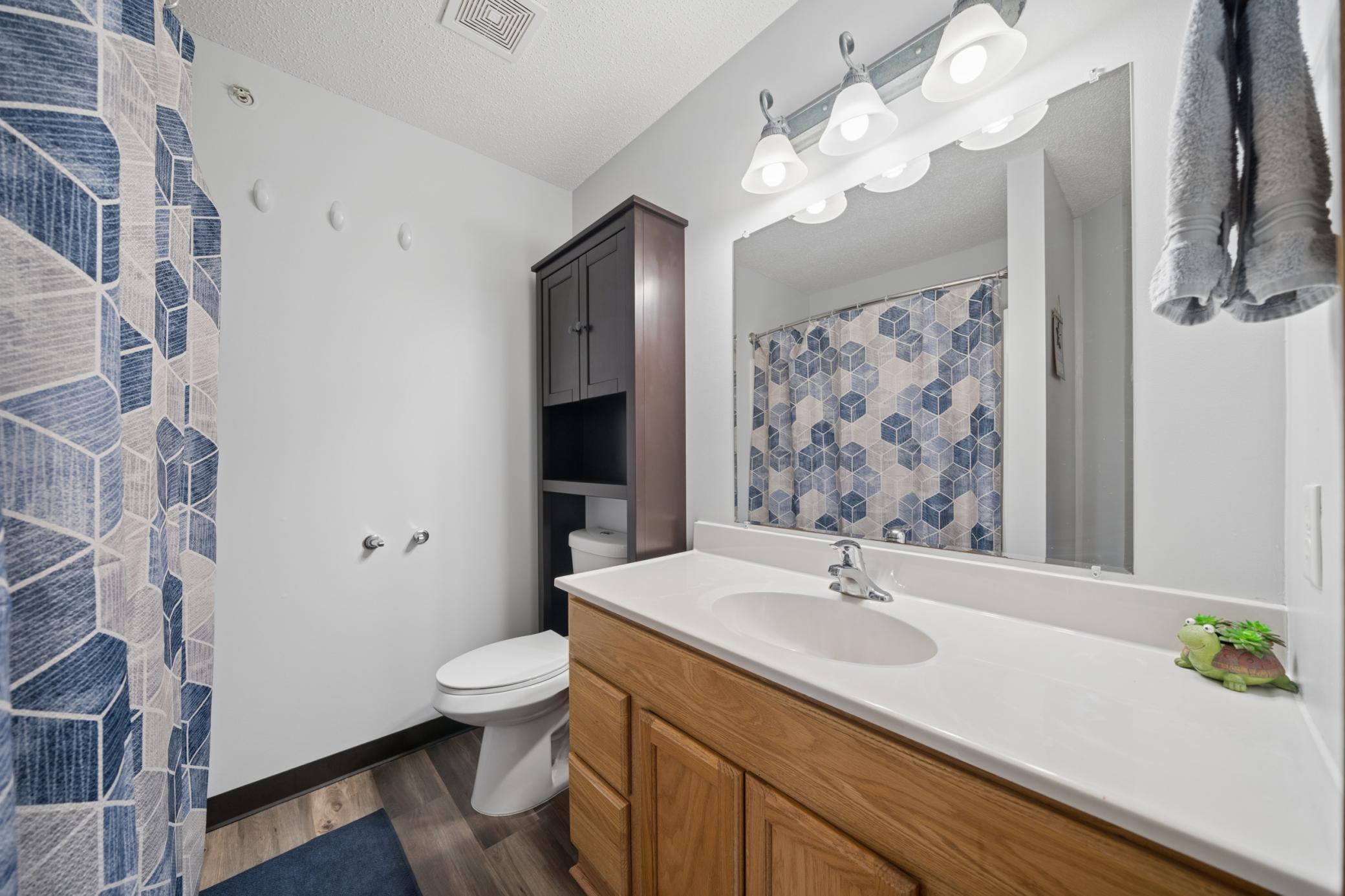 View of Residential at 206 Orchard Street, Belle Plaine MN 56011, Belle Plaine (21 of 30) - Mike Wilen | Minnesota Team Real Estate
