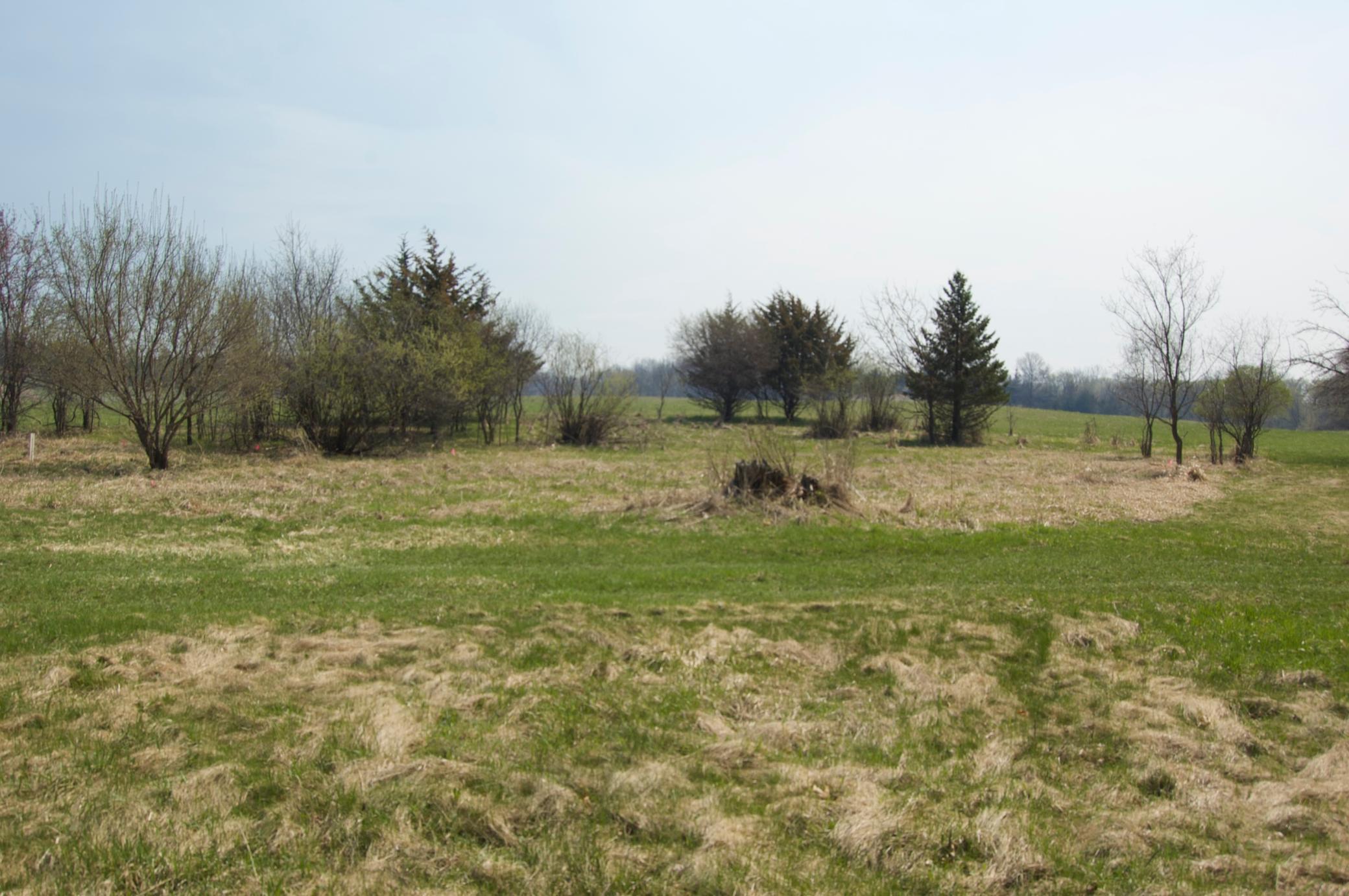 View of Land at 621 Lyman Boulevard, Chaska MN 55318, Chaska (2 of 15) - Mike Wilen | Minnesota Team Real Estate