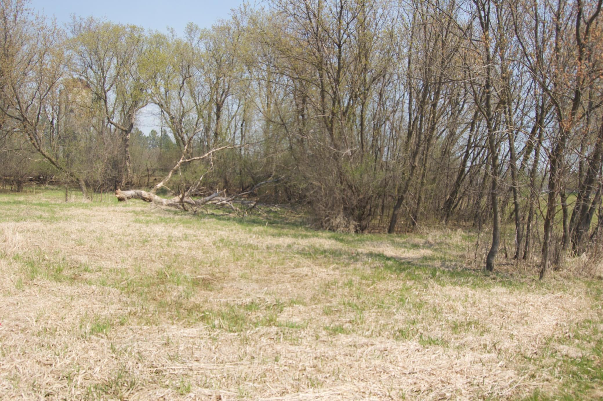 View of Land at 621 Lyman Boulevard, Chaska MN 55318, Chaska (12 of 15) - Mike Wilen | Minnesota Team Real Estate