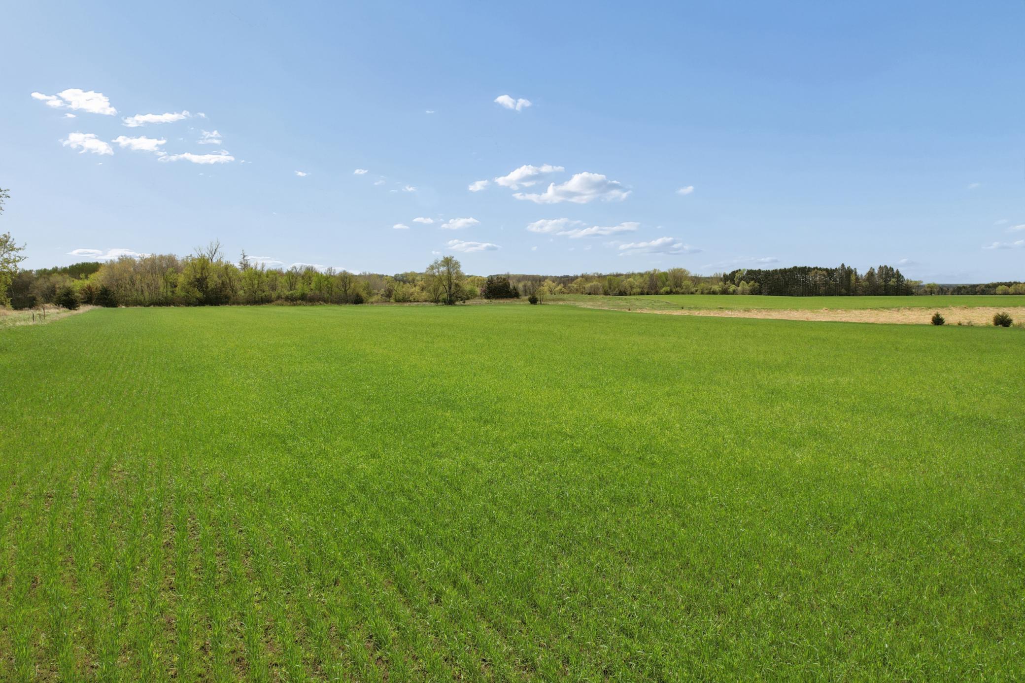 View of Farm at PART NW1/4 of SW1/4 ACRES located in Section 23, Jordan MN 55352, Jordan (13 of 20) - Mike Wilen | Minnesota Team Real Estate