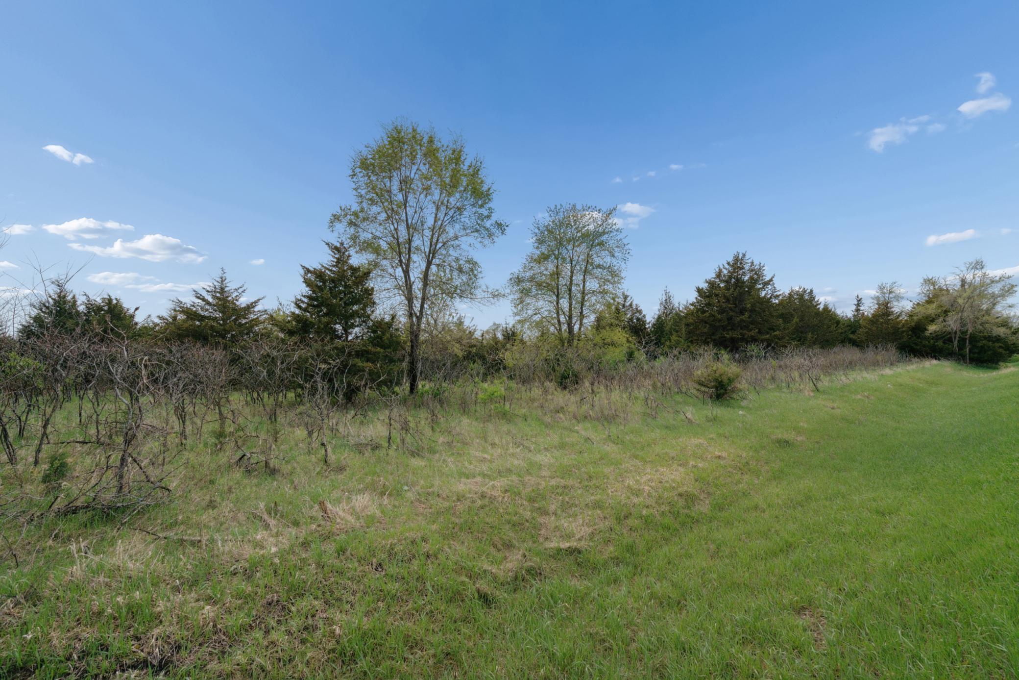 View of Farm at PART NW1/4 of SW1/4 ACRES located in Section 23, Jordan MN 55352, Jordan (9 of 20) - Mike Wilen | Minnesota Team Real Estate