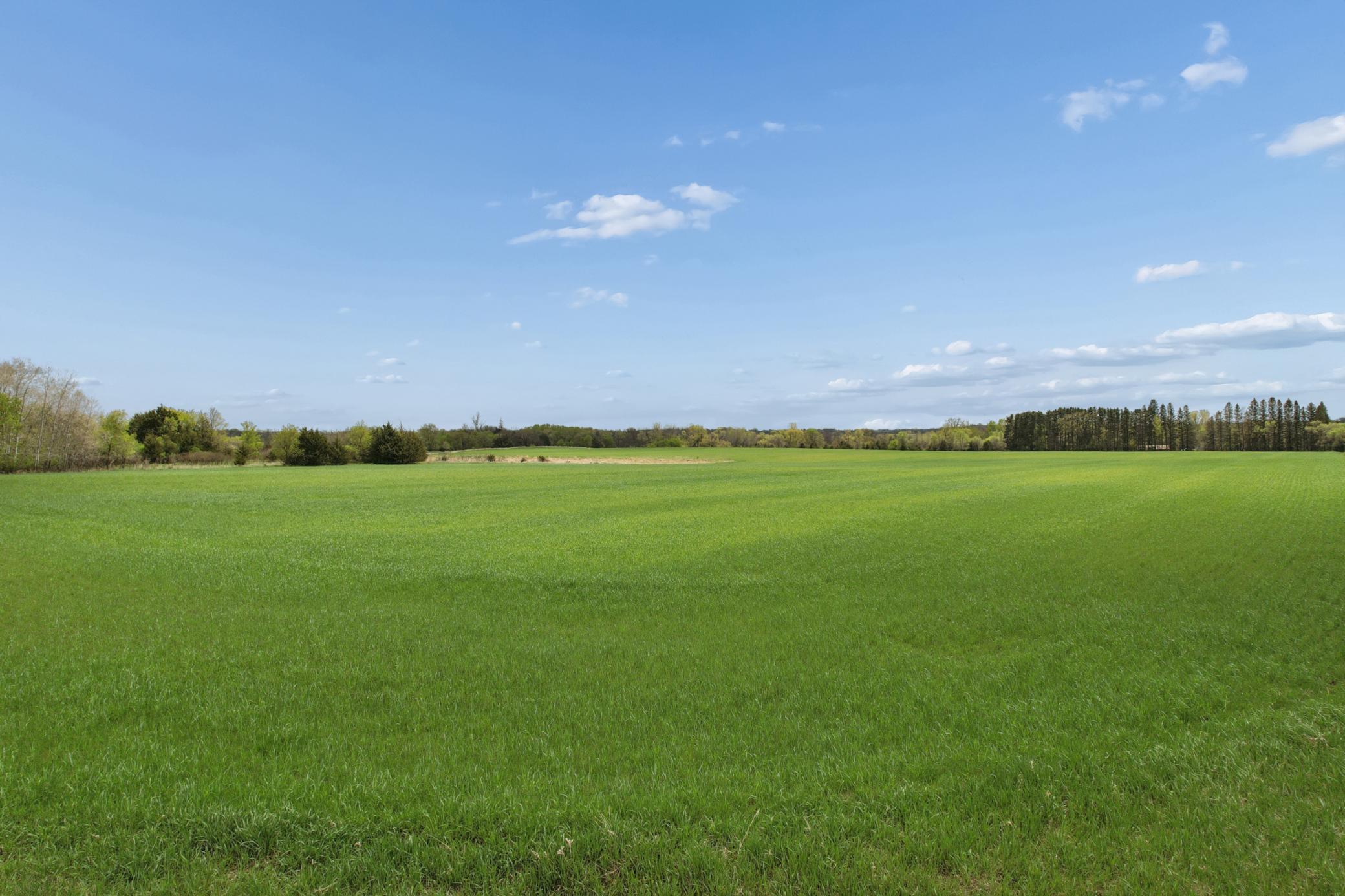 View of Farm at PART NW1/4 of SW1/4 ACRES located in Section 23, Jordan MN 55352, Jordan (7 of 20) - Mike Wilen | Minnesota Team Real Estate