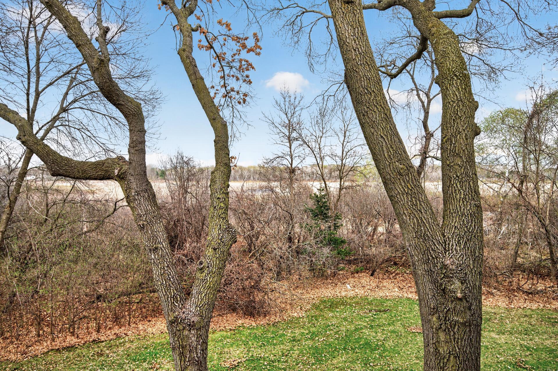 View of Residential at 818 Sherwood Road, Shoreview MN 55126, Shoreview (5 of 22) - Mike Wilen | Minnesota Team Real Estate