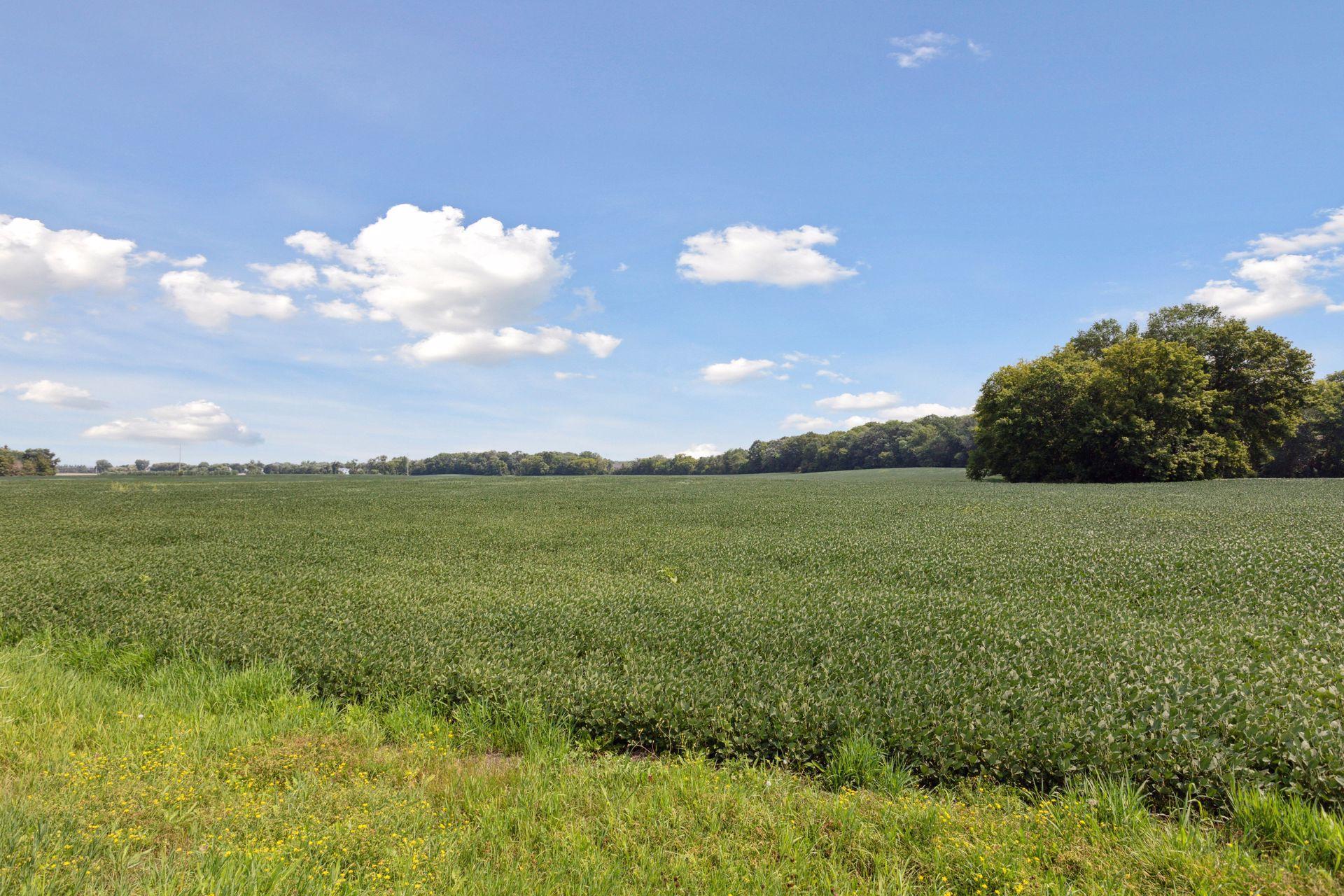 View of Land at 24x2 Holy Name Drive, Medina MN 55340, Medina (12 of 27) - Mike Wilen | Minnesota Team Real Estate