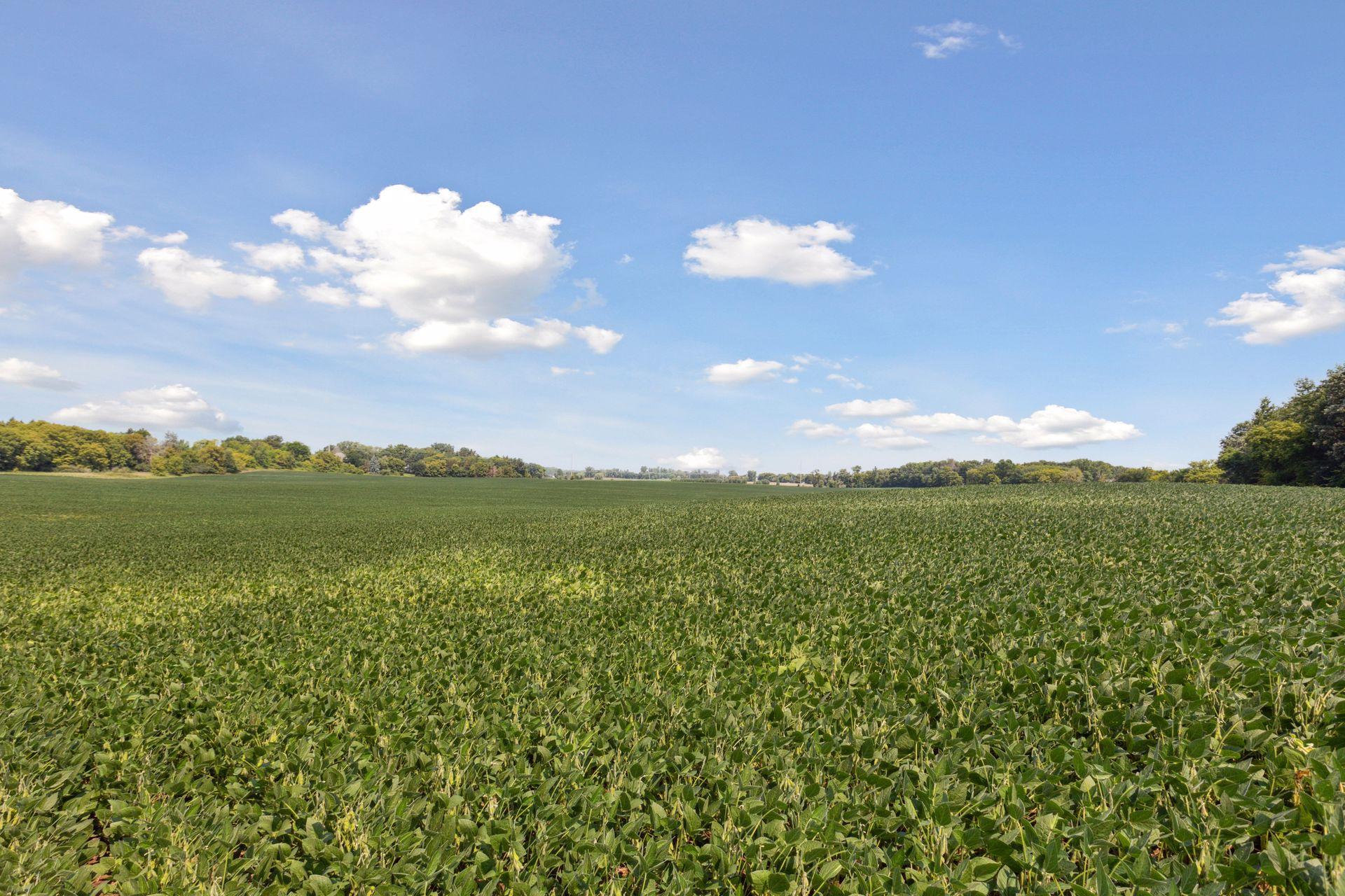View of Land at 24x2 Holy Name Drive, Medina MN 55340, Medina (10 of 27) - Mike Wilen | Minnesota Team Real Estate