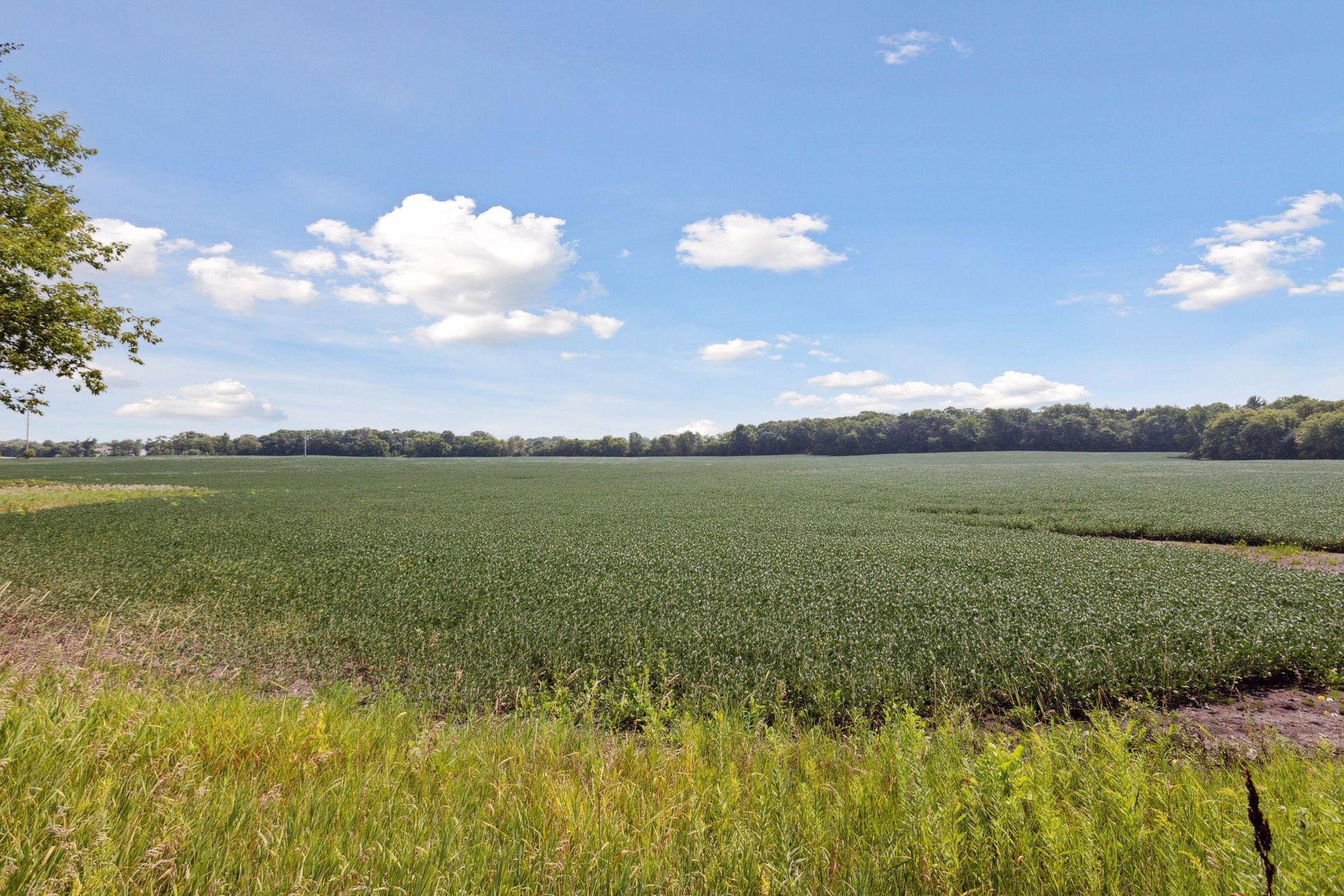 View of Land at 24x2 Holy Name Drive, Medina MN 55340, Medina - Mike Wilen | Minnesota Team Real Estate