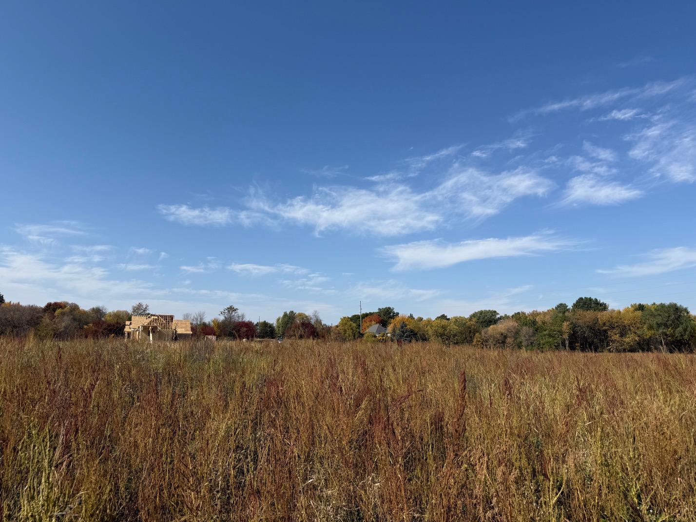 View of Land at 24x2 Holy Name Drive, Medina MN 55340, Medina (4 of 32) - Mike Wilen | Minnesota Team Real Estate