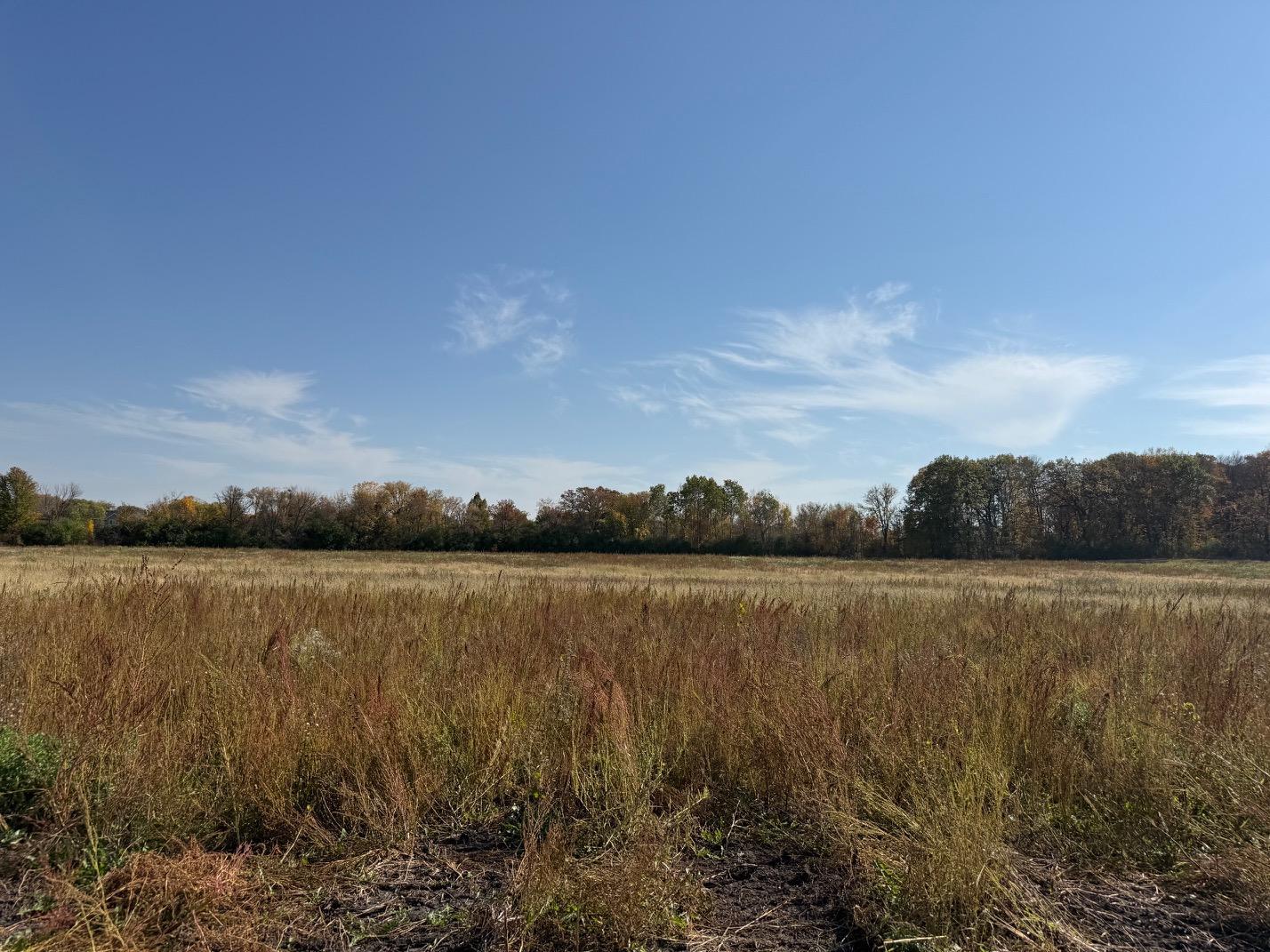View of Land at 24x2 Holy Name Drive, Medina MN 55340, Medina (2 of 32) - Mike Wilen | Minnesota Team Real Estate