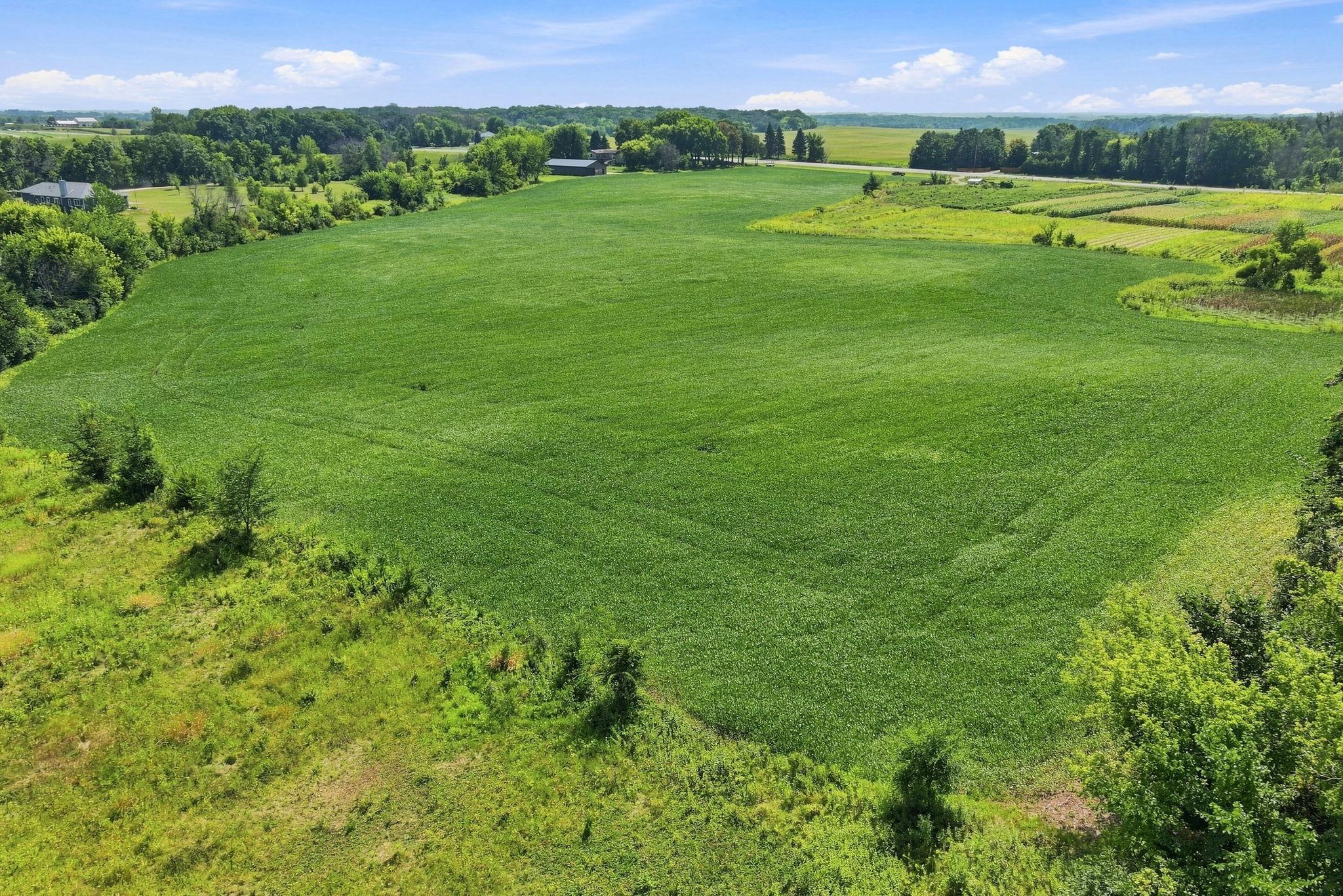 View of Land at XXXX 330th Street Street, Northfield MN 55057, Northfield (11 of 13) - Mike Wilen | Minnesota Team Real Estate