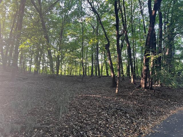 View of Land at 5480 Radisson Entrance, Shorewood MN 55331, Shorewood - Mike Wilen | Minnesota Team Real Estate