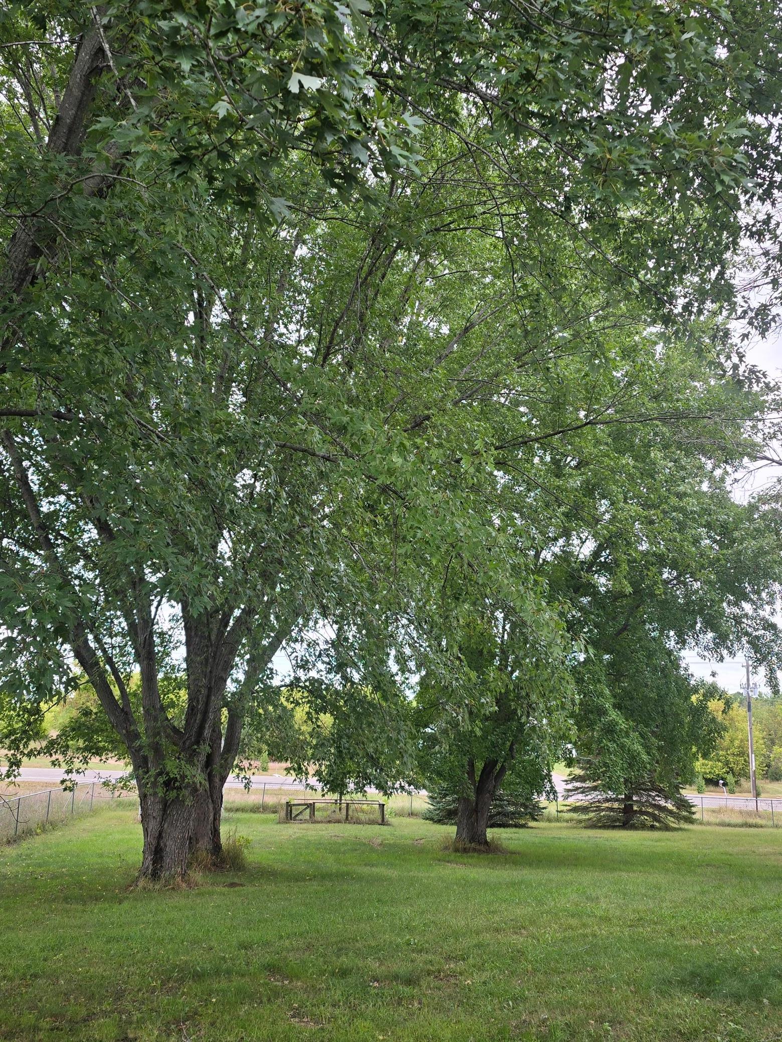 View of Residential at 61 212th Lane, Cedar MN 55011, Cedar (5 of 6) - Mike Wilen | Minnesota Team Real Estate
