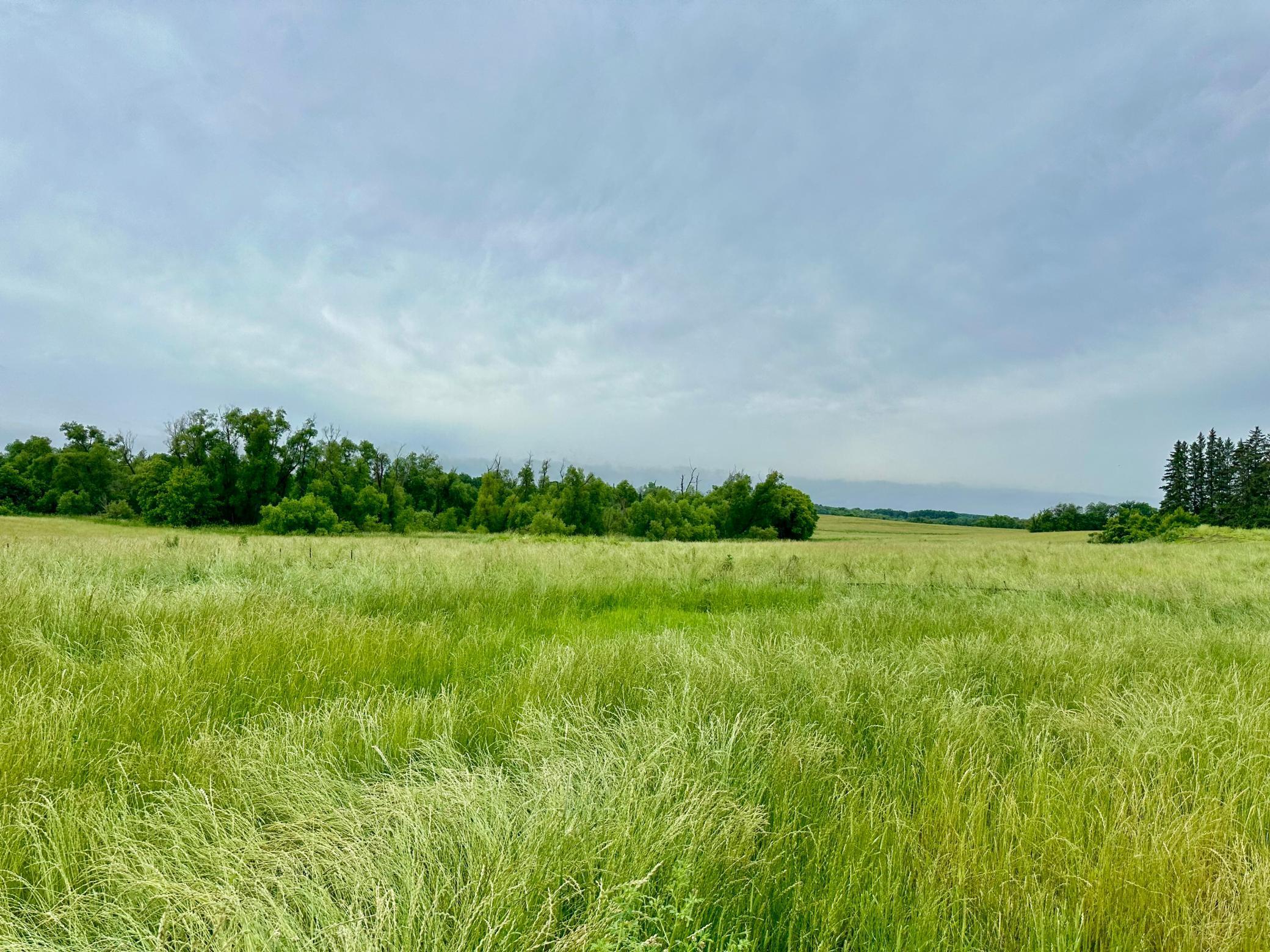 View of Residential at 2535 Pioneer Trail, Medina MN 55340, Medina (27 of 28) - Mike Wilen | Minnesota Team Real Estate