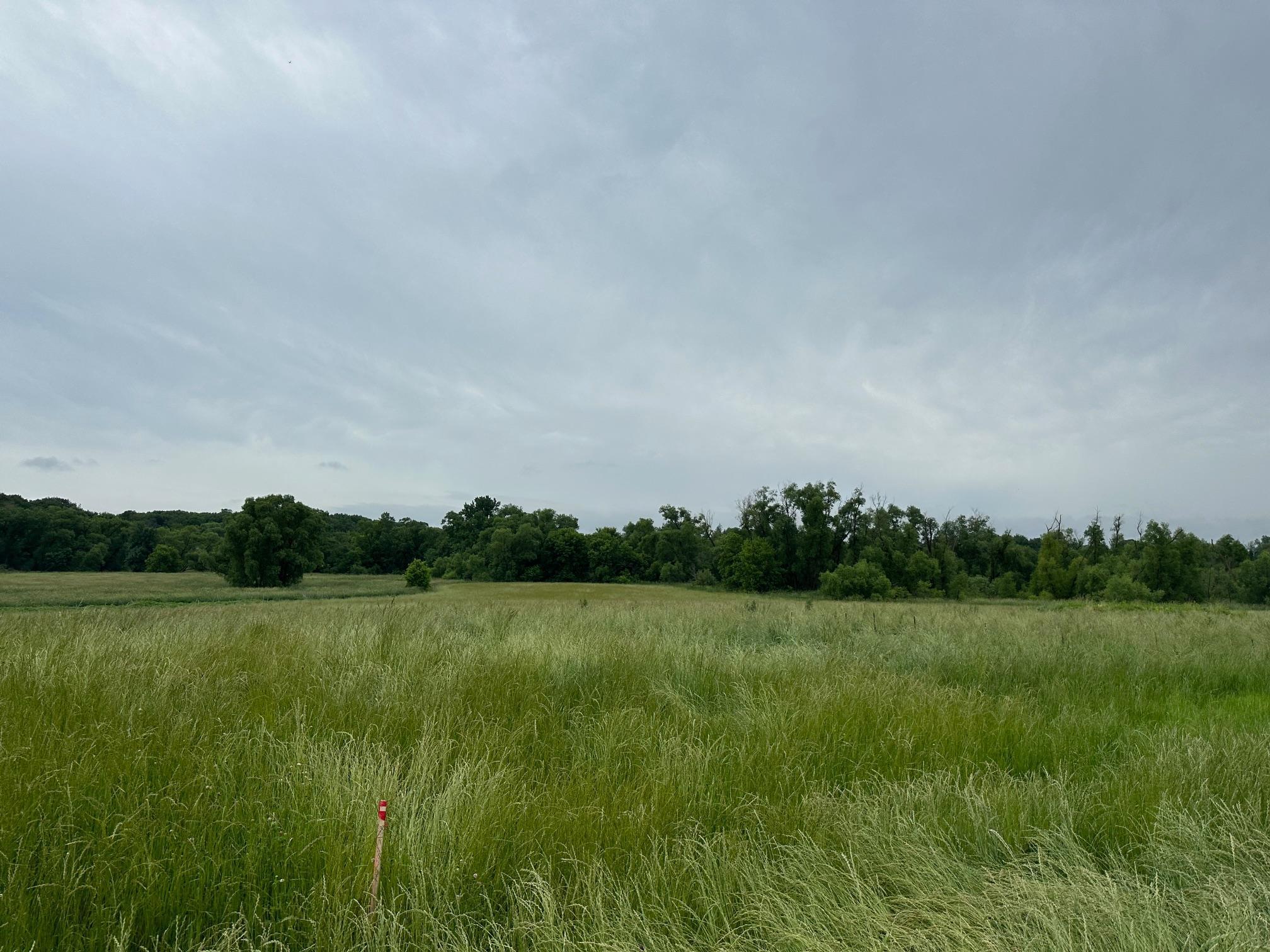 View of Residential at 2535 Pioneer Trail, Medina MN 55340, Medina (26 of 28) - Mike Wilen | Minnesota Team Real Estate