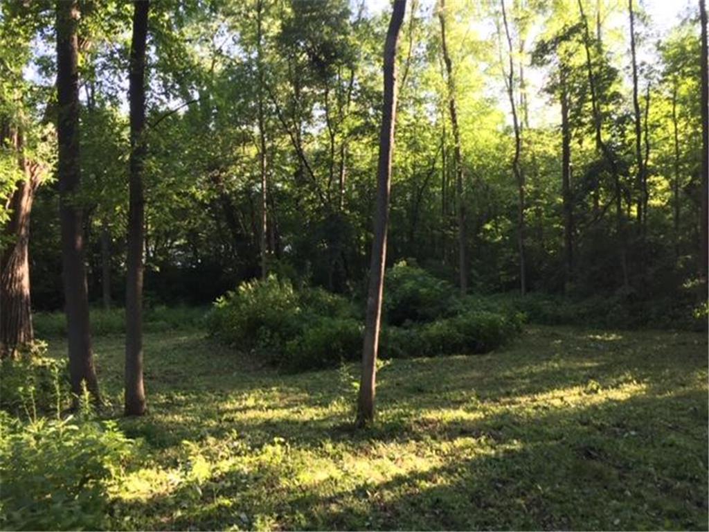View of Land at 12991 Point Douglas Drive, Hastings MN 55033, Hastings (14 of 16) - Mike Wilen | Minnesota Team Real Estate