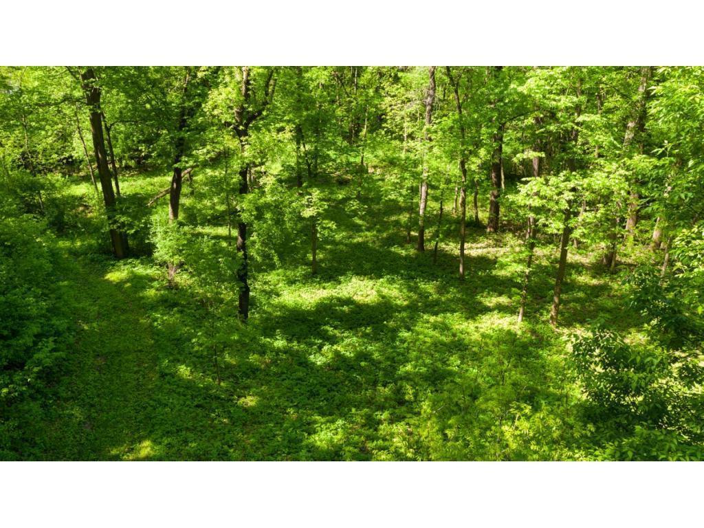 View of Land at 12991 Point Douglas Drive, Hastings MN 55033, Hastings (12 of 16) - Mike Wilen | Minnesota Team Real Estate