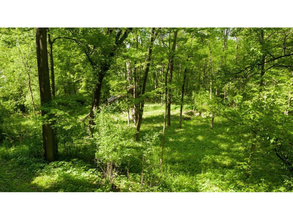 View of Land at 12991 Point Douglas Drive, Hastings MN 55033, Hastings (11 of 16) - Mike Wilen | Minnesota Team Real Estate