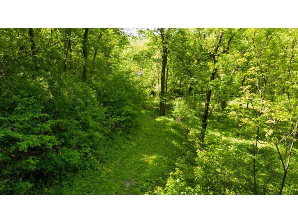View of Land at 12991 Point Douglas Drive, Hastings MN 55033, Hastings (10 of 16) - Mike Wilen | Minnesota Team Real Estate