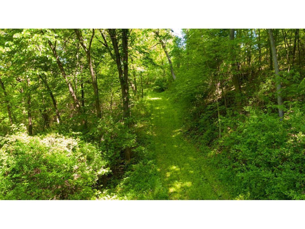 View of Land at 12991 Point Douglas Drive, Hastings MN 55033, Hastings (9 of 16) - Mike Wilen | Minnesota Team Real Estate