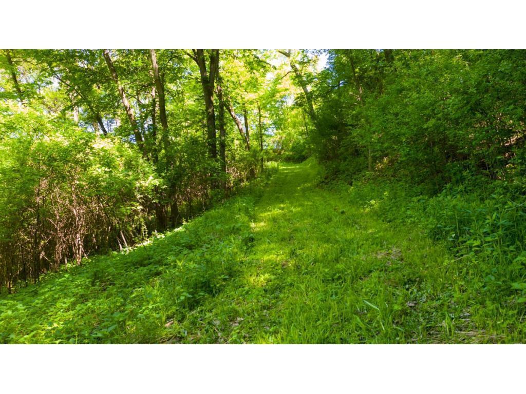 View of Land at 12991 Point Douglas Drive, Hastings MN 55033, Hastings (8 of 16) - Mike Wilen | Minnesota Team Real Estate