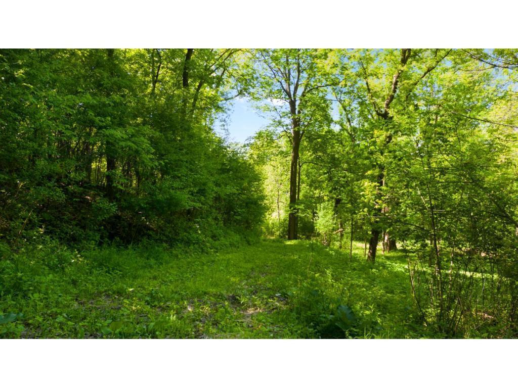 View of Land at 12991 Point Douglas Drive, Hastings MN 55033, Hastings (3 of 16) - Mike Wilen | Minnesota Team Real Estate