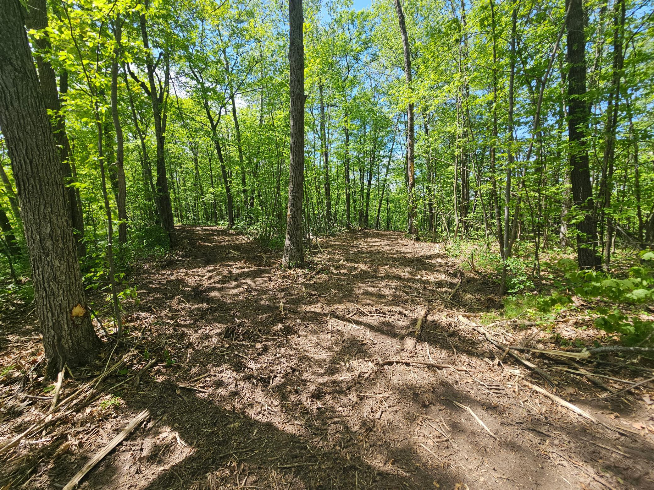 View of Land at TBD Tract B Swanson Road, Deerwood MN 56444, Deerwood (8 of 11) - Mike Wilen | Minnesota Team Real Estate
