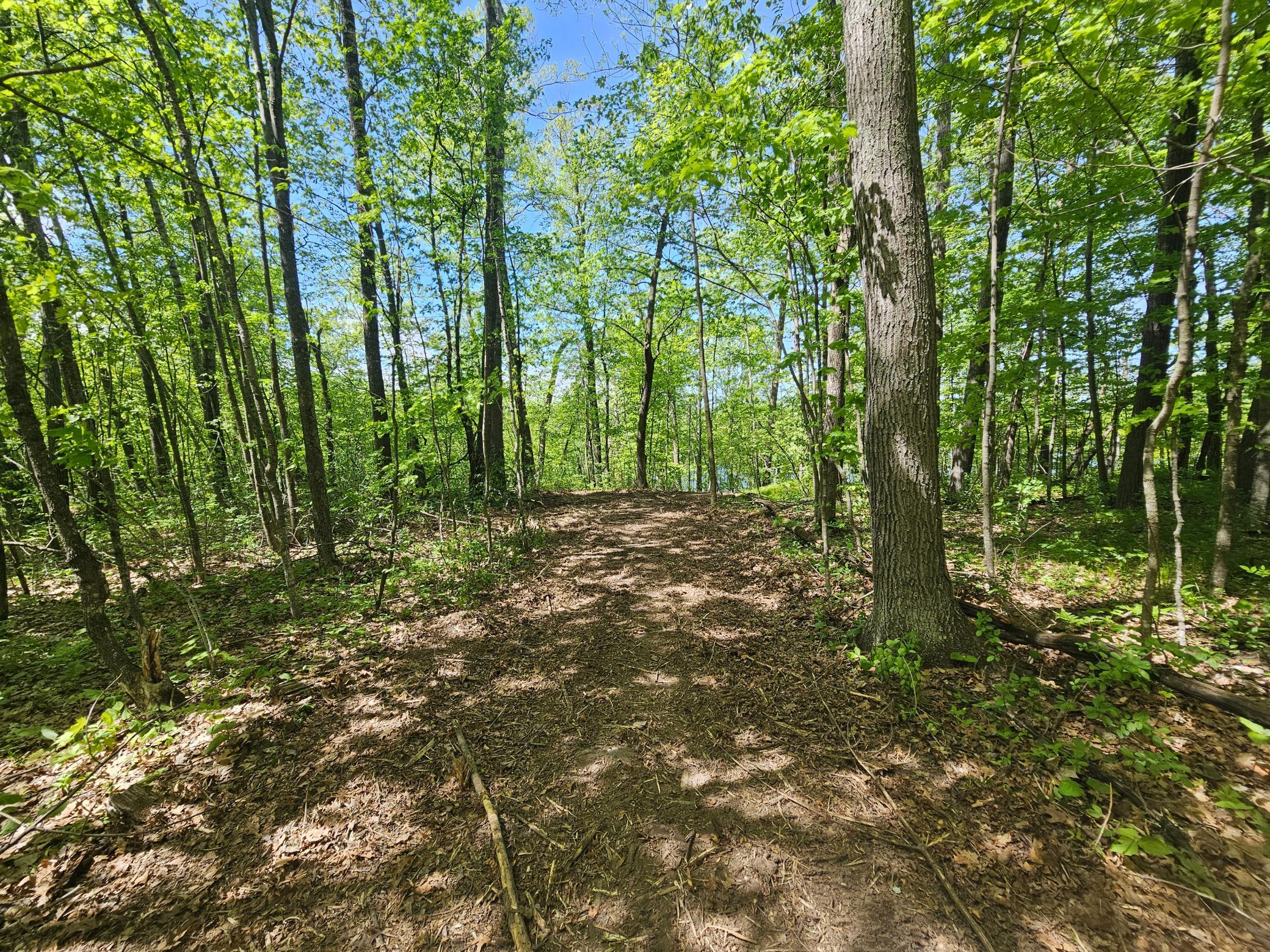 View of Land at TBD Tract B Swanson Road, Deerwood MN 56444, Deerwood (7 of 11) - Mike Wilen | Minnesota Team Real Estate