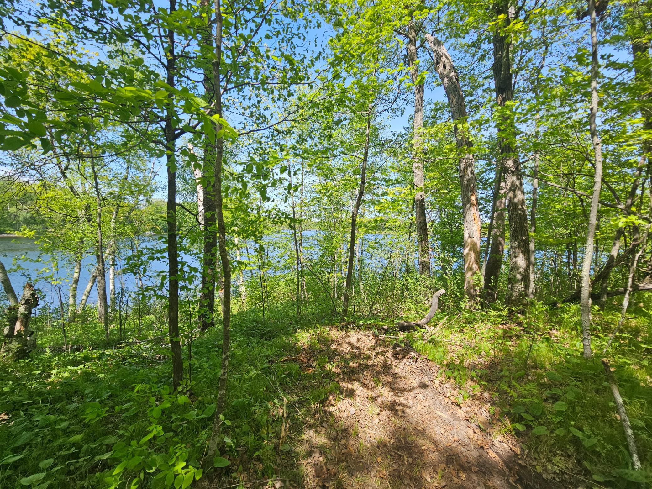 View of Land at TBD Tract B Swanson Road, Deerwood MN 56444, Deerwood (6 of 11) - Mike Wilen | Minnesota Team Real Estate