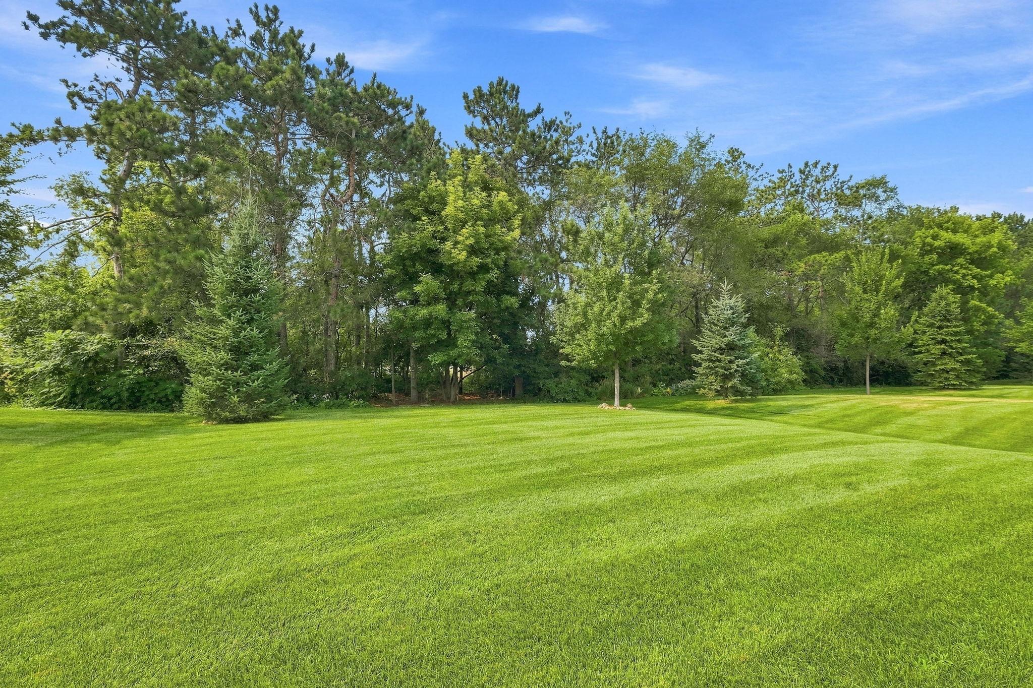 View of Residential at 6733 92nd Street, Cottage Grove MN 55016, Cottage Grove (35 of 39) - Mike Wilen | Minnesota Team Real Estate