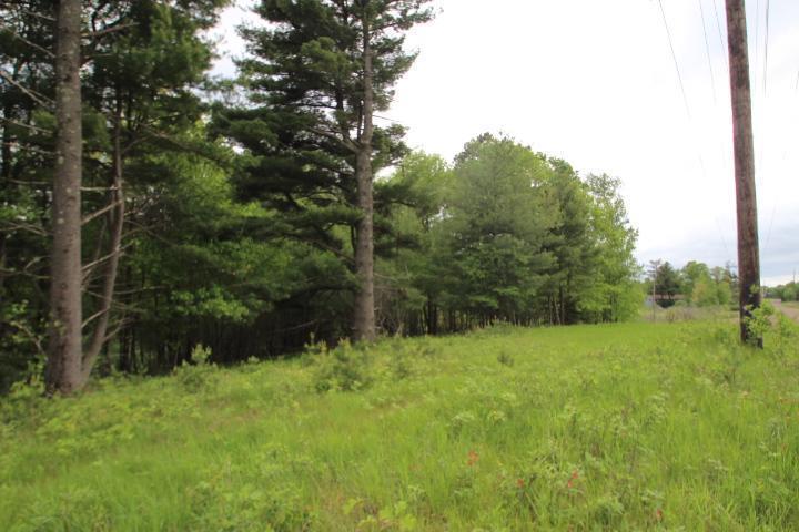 View of Land at 3650 253rd Avenue, Isanti MN 55040, Isanti (2 of 8) - Mike Wilen | Minnesota Team Real Estate
