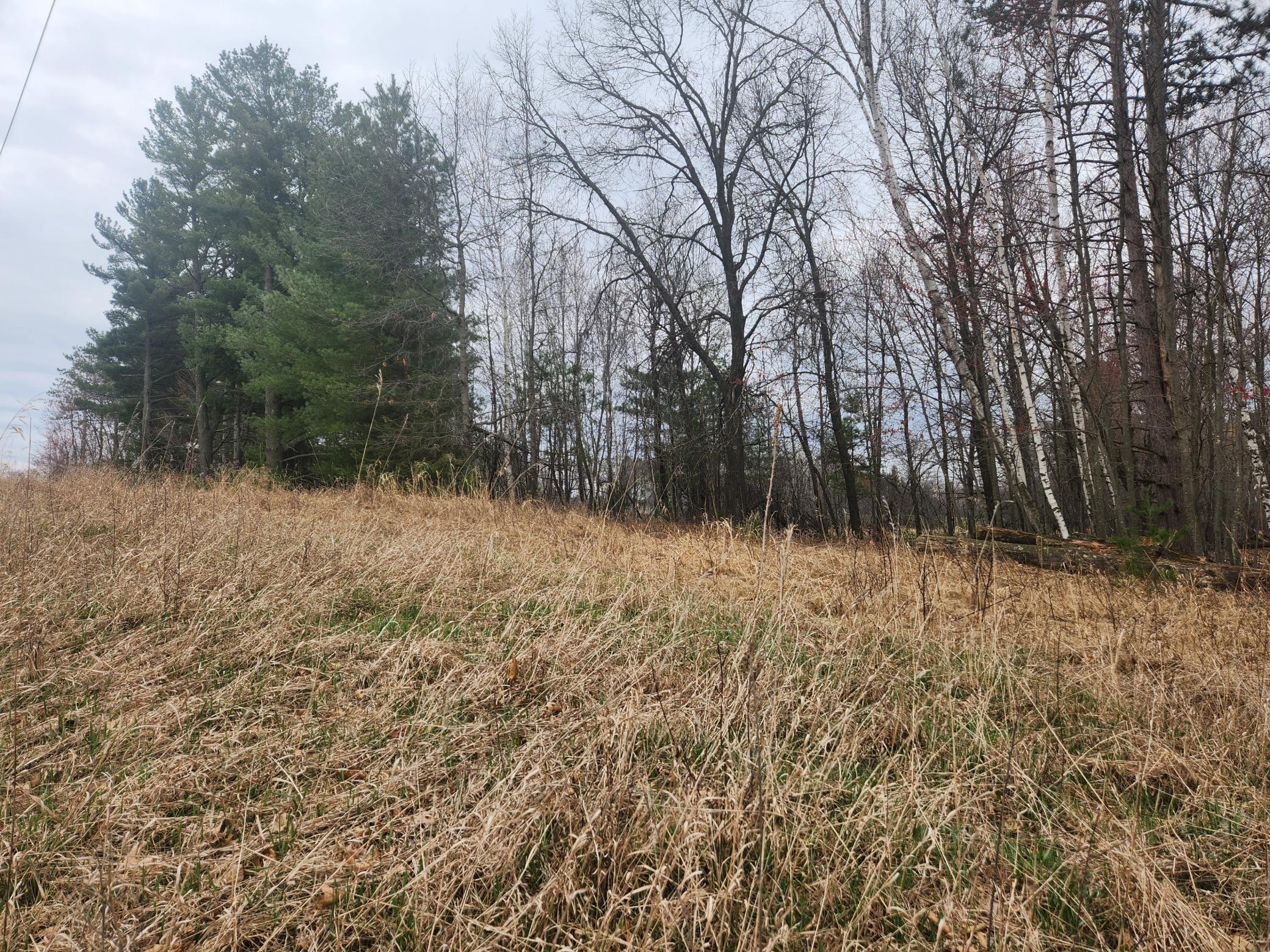 View of Land at 3650 253rd Avenue, Isanti MN 55040, Isanti (4 of 8) - Mike Wilen | Minnesota Team Real Estate
