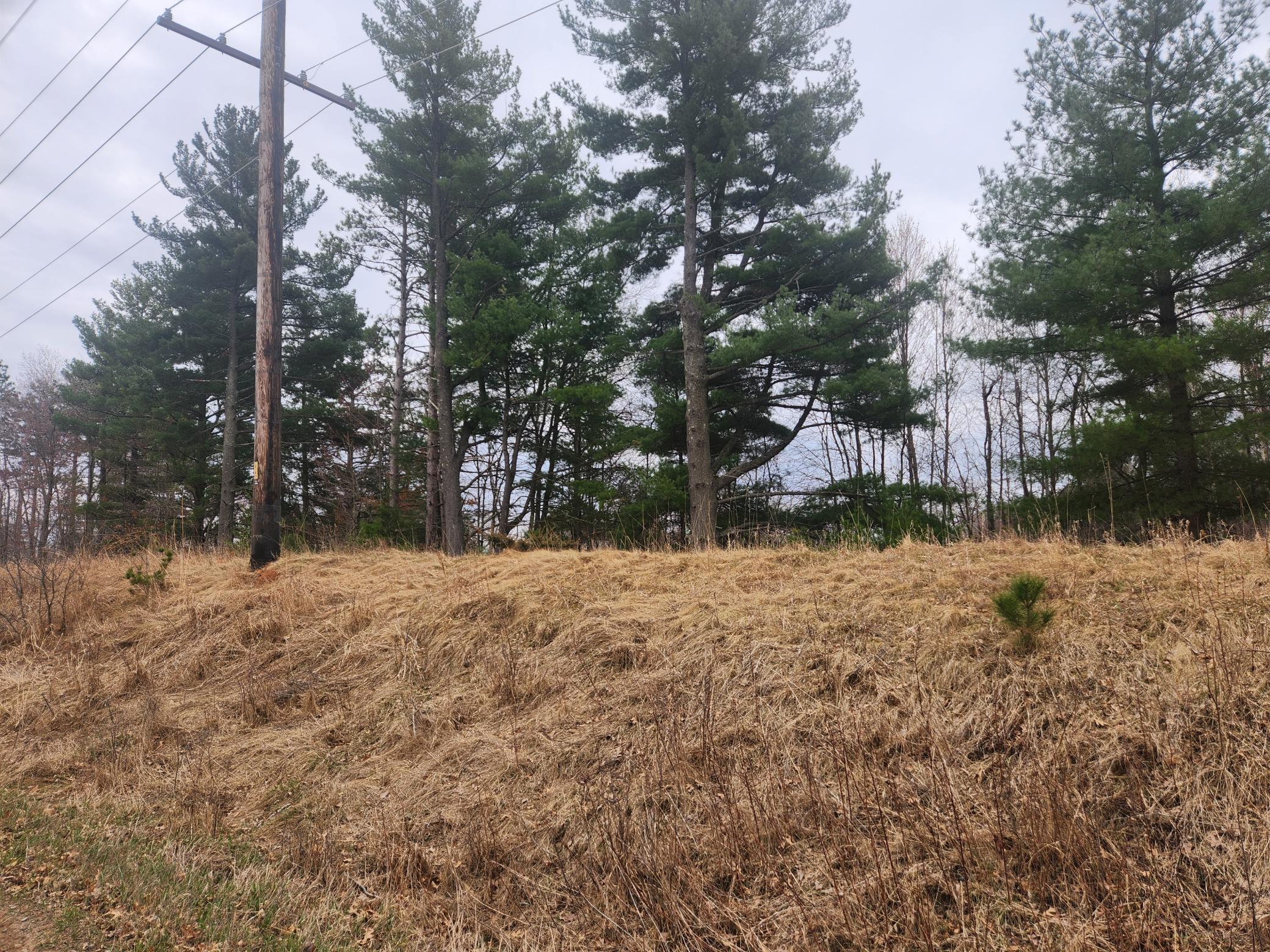 View of Land at 3650 253rd Avenue, Isanti MN 55040, Isanti (5 of 8) - Mike Wilen | Minnesota Team Real Estate
