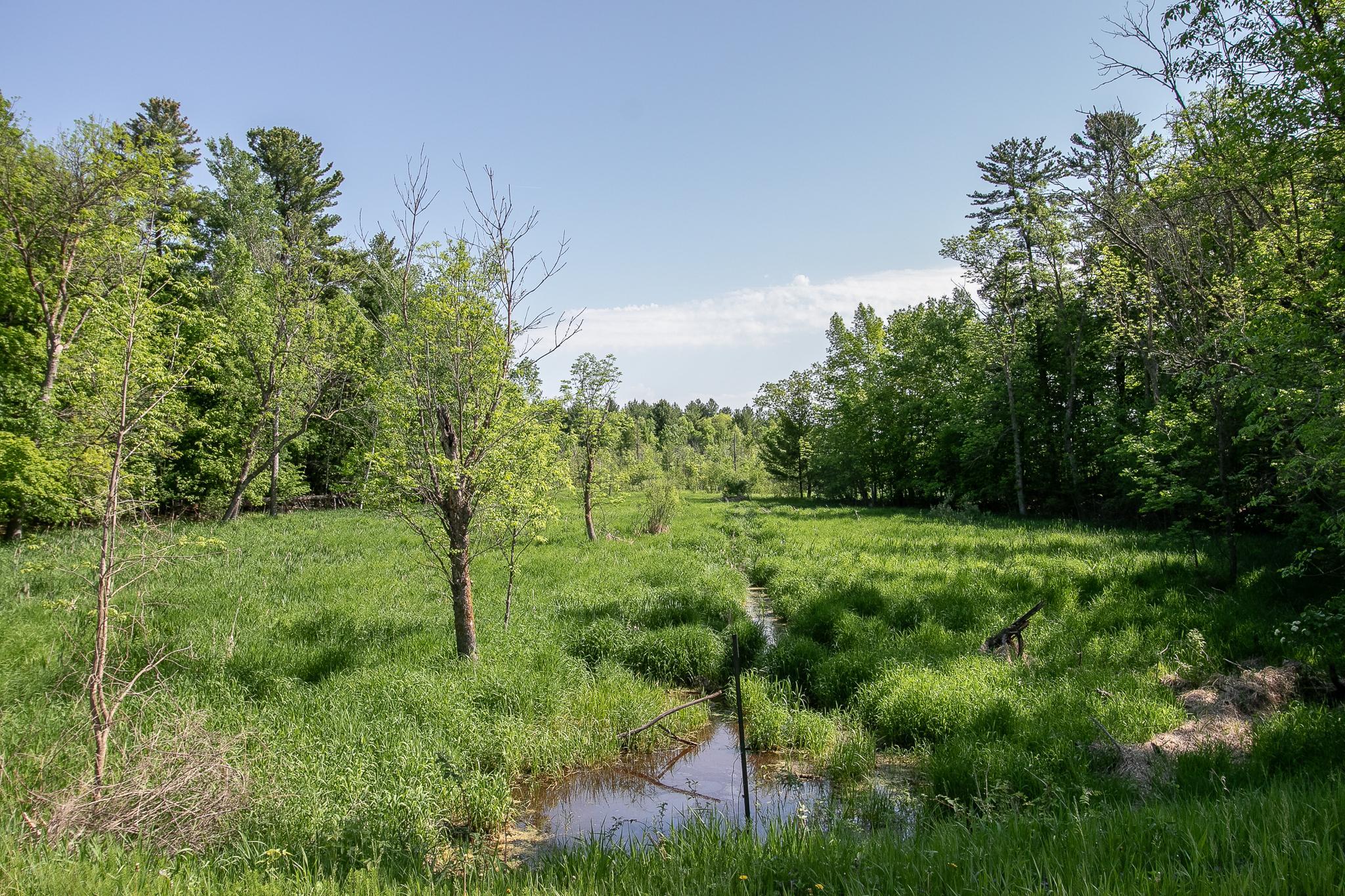 View of Residential at 52371 Balsam Avenue, Stanchfield MN 55080, Stanchfield (49 of 51) - Mike Wilen | Minnesota Team Real Estate