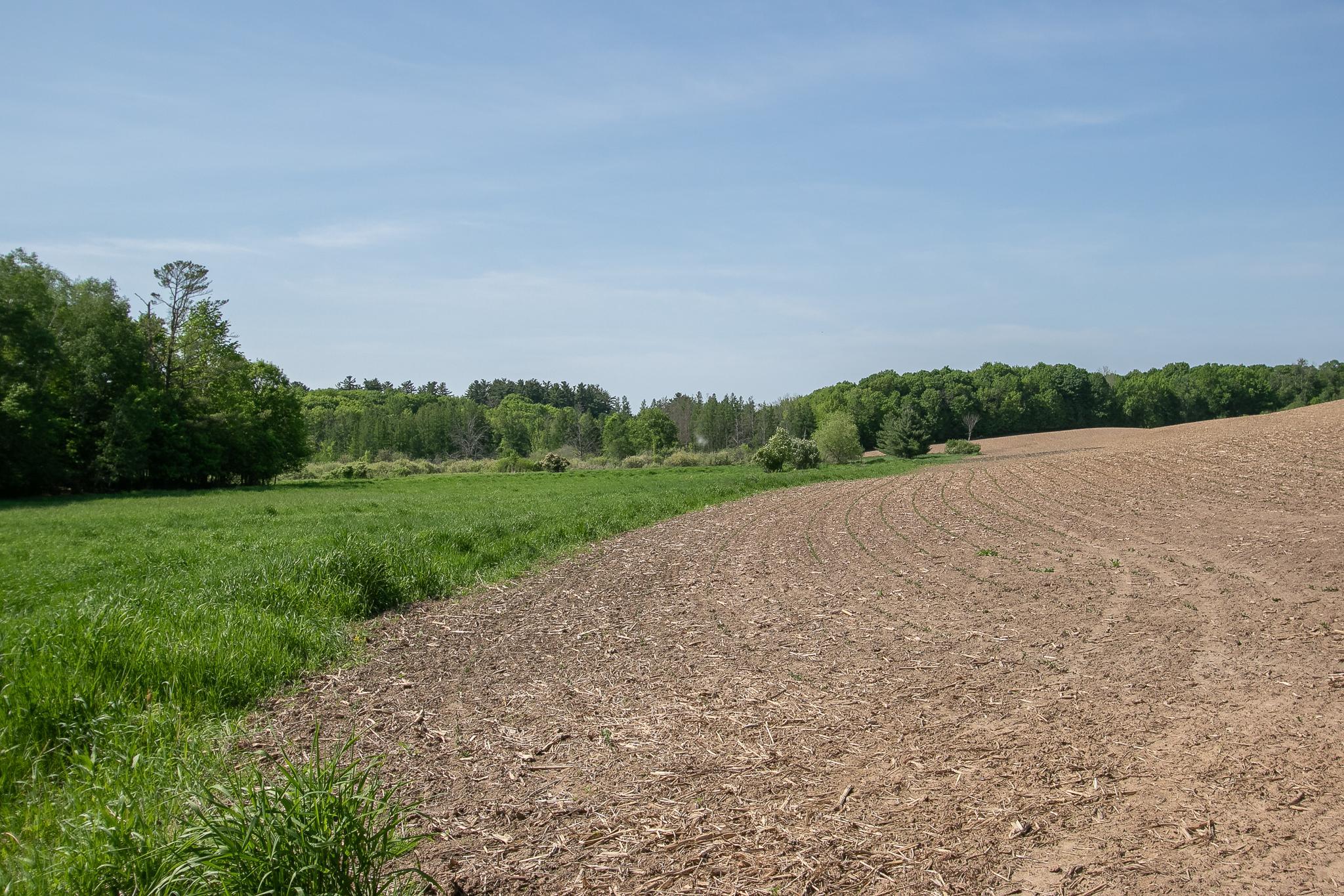 View of Residential at 52371 Balsam Avenue, Stanchfield MN 55080, Stanchfield (44 of 51) - Mike Wilen | Minnesota Team Real Estate