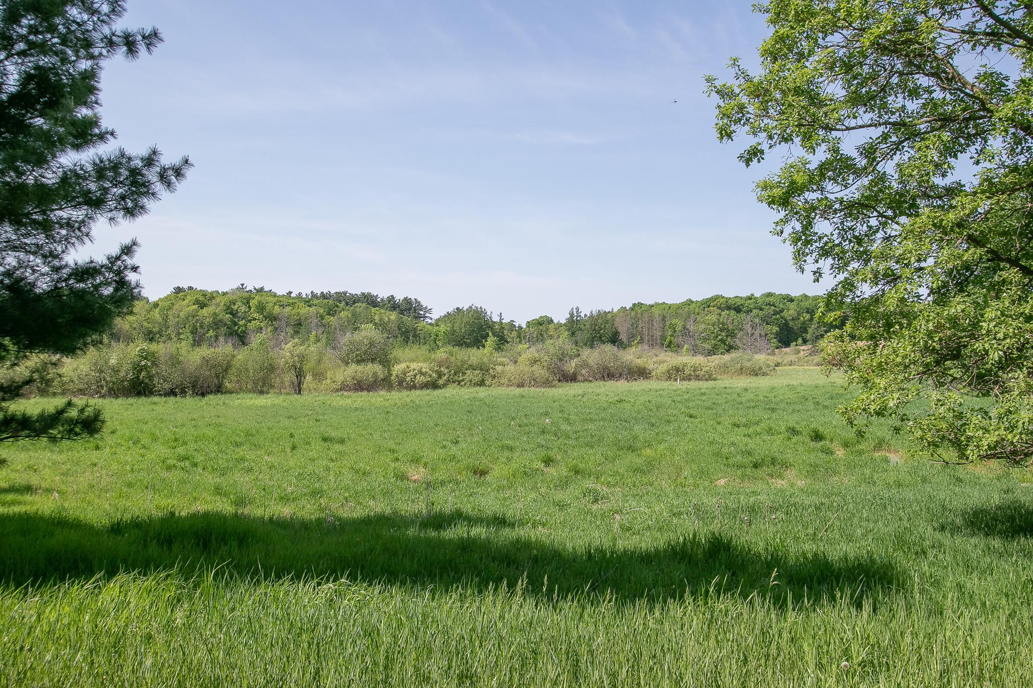 View of Residential at 52371 Balsam Avenue, Stanchfield MN 55080, Stanchfield (48 of 51) - Mike Wilen | Minnesota Team Real Estate