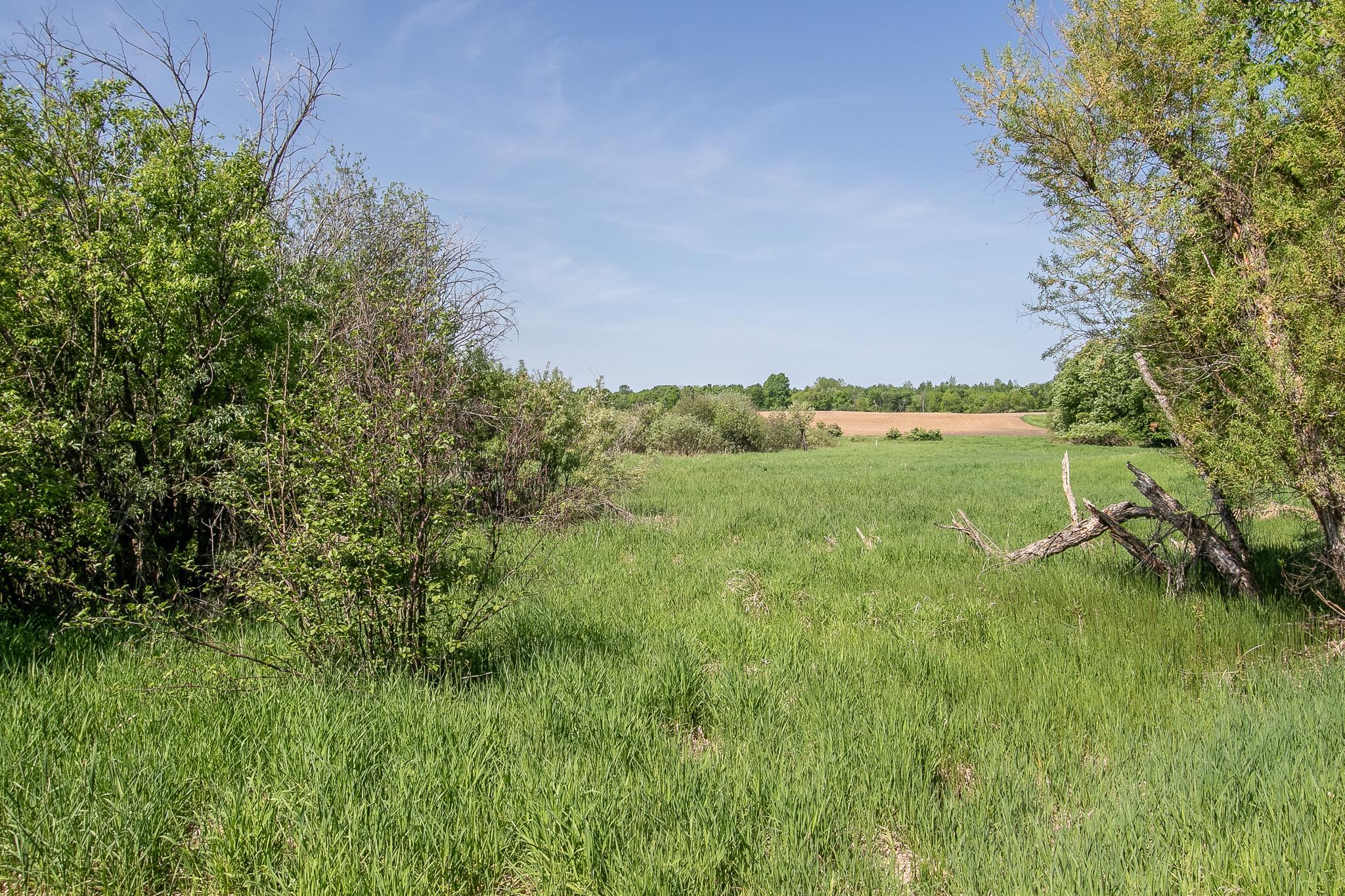 View of Residential at 52371 Balsam Avenue, Stanchfield MN 55080, Stanchfield (47 of 51) - Mike Wilen | Minnesota Team Real Estate