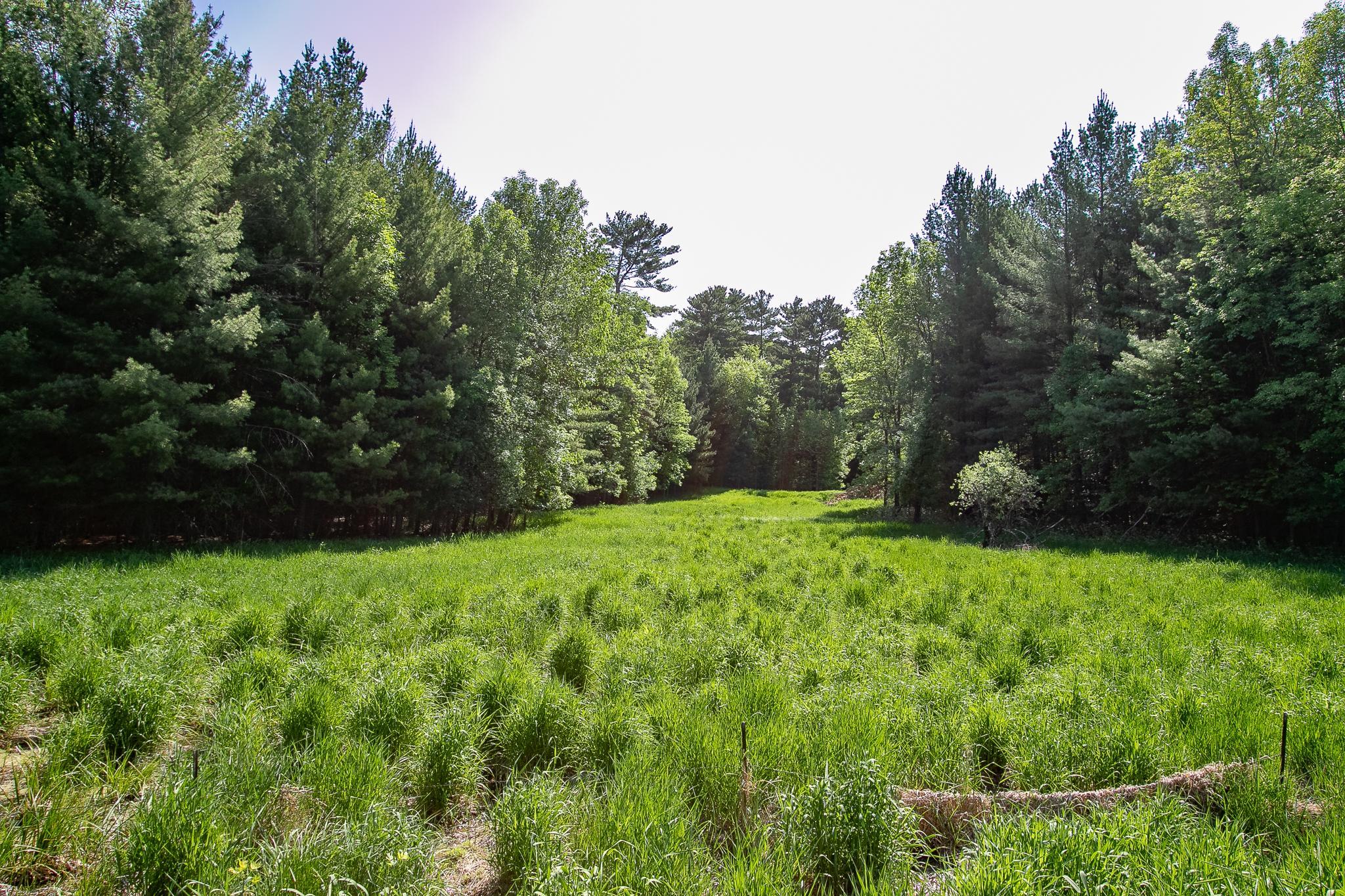 View of Residential at 52371 Balsam Avenue, Stanchfield MN 55080, Stanchfield (46 of 51) - Mike Wilen | Minnesota Team Real Estate
