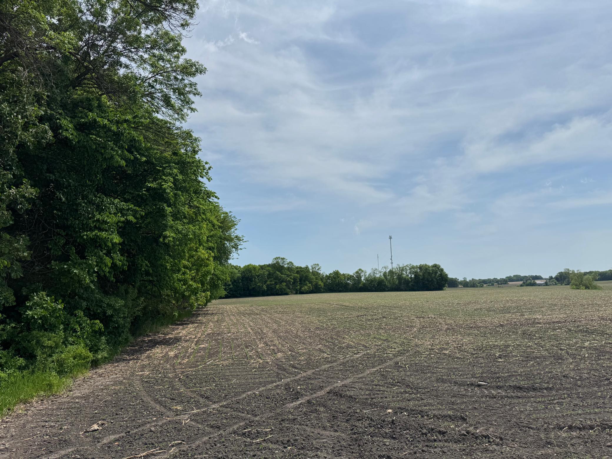 View of Land at TBD Baker Avenue, Buffalo MN 55313, Buffalo (23 of 33) - Mike Wilen | Minnesota Team Real Estate