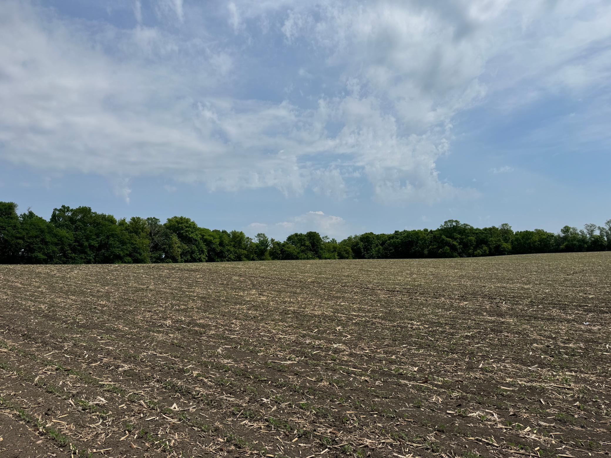 View of Land at TBD Baker Avenue, Buffalo MN 55313, Buffalo (21 of 33) - Mike Wilen | Minnesota Team Real Estate