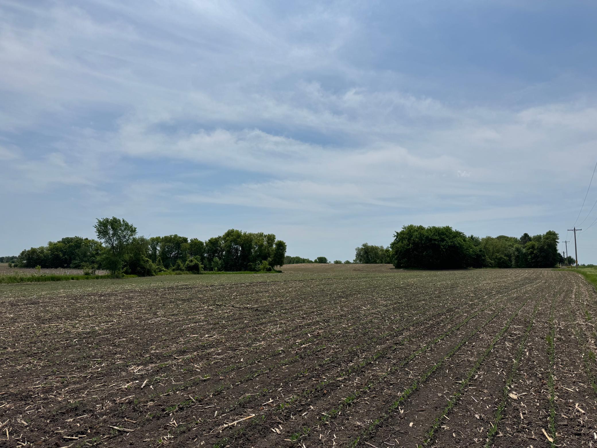 View of Land at TBD Baker Avenue, Buffalo MN 55313, Buffalo (19 of 33) - Mike Wilen | Minnesota Team Real Estate